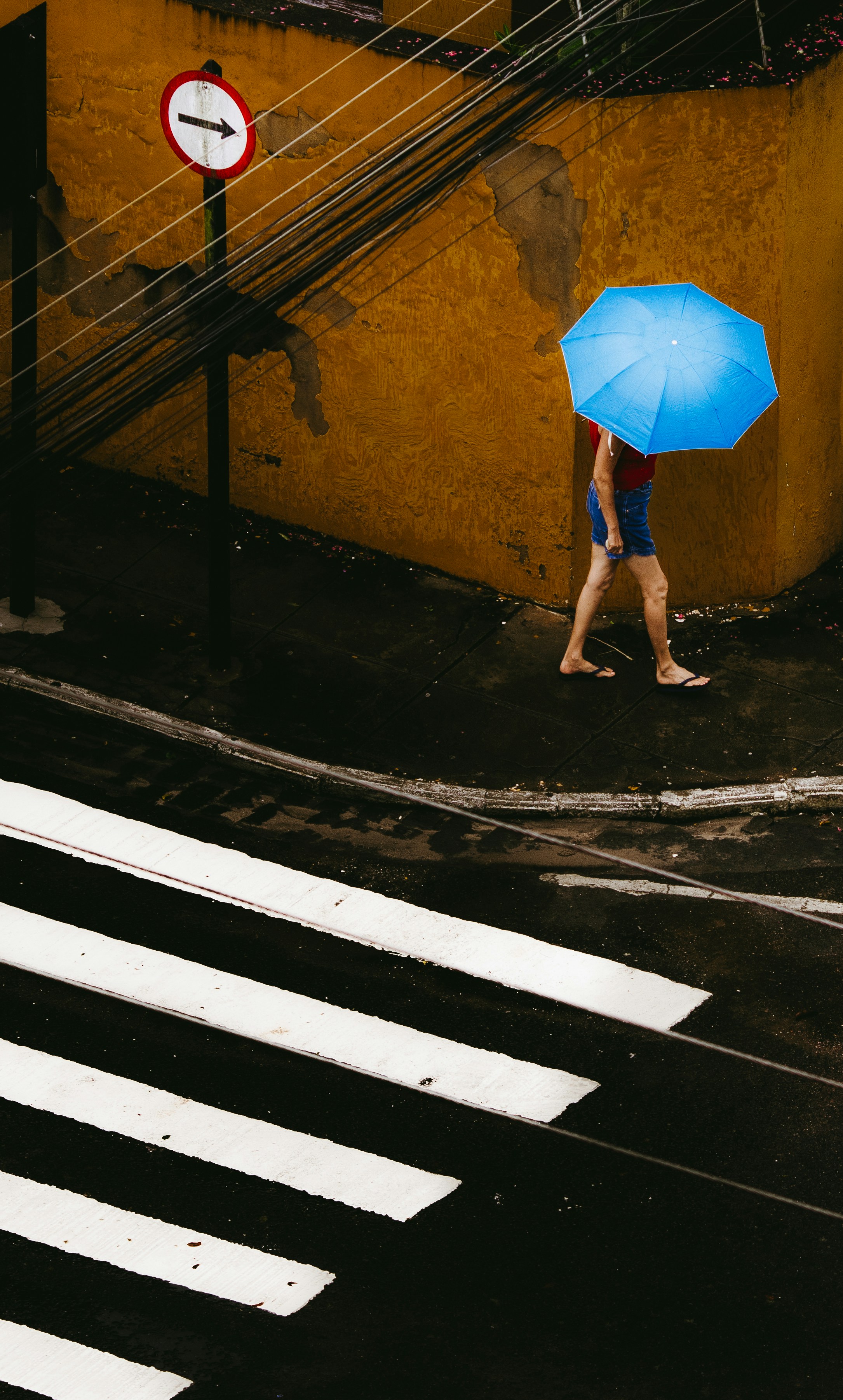 Person with blue umbrella walks past crosswalk