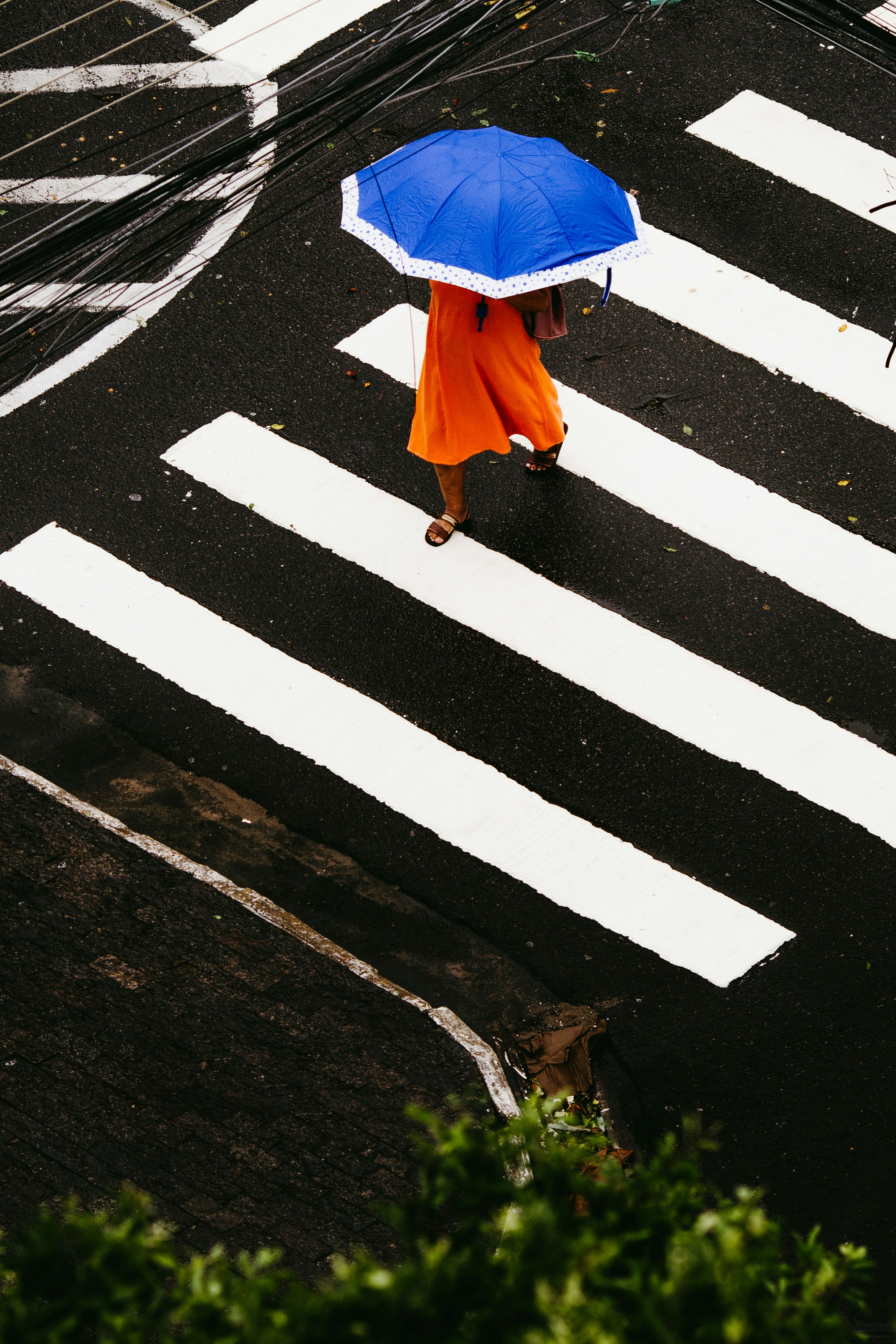 Woman with blue umbrella crosses busy street