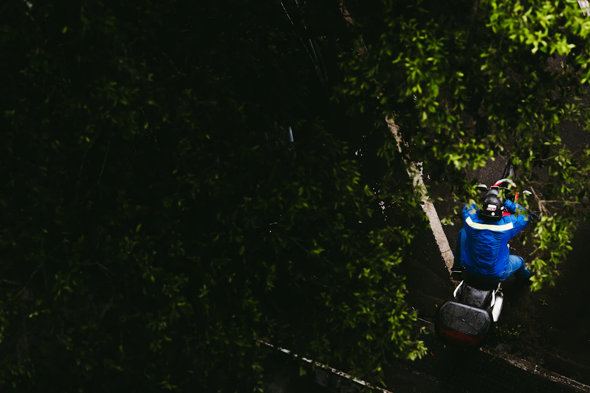 Arborist trimming tree from lift
