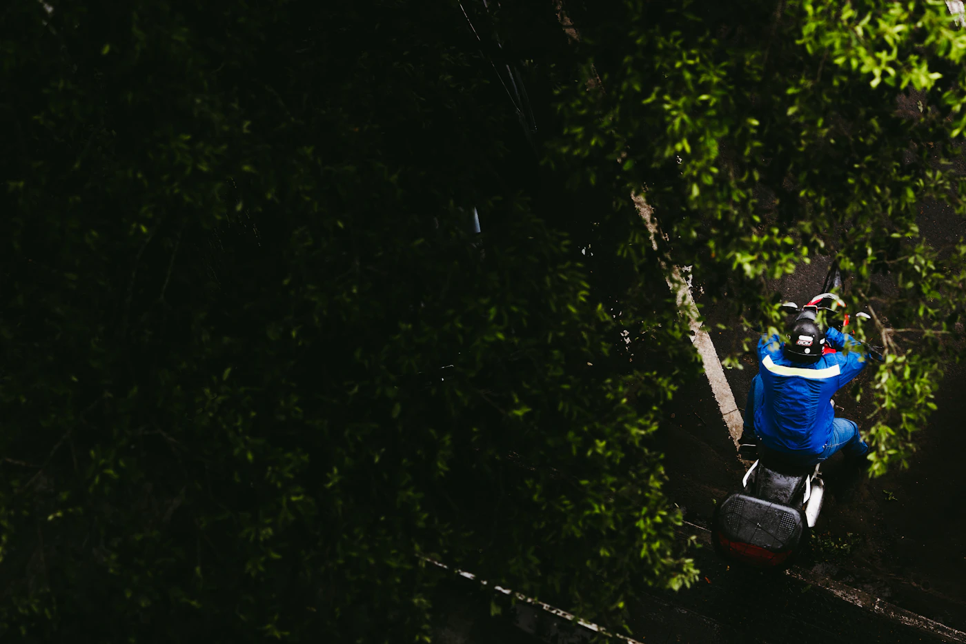 Arborist trimming tree branches from a lift