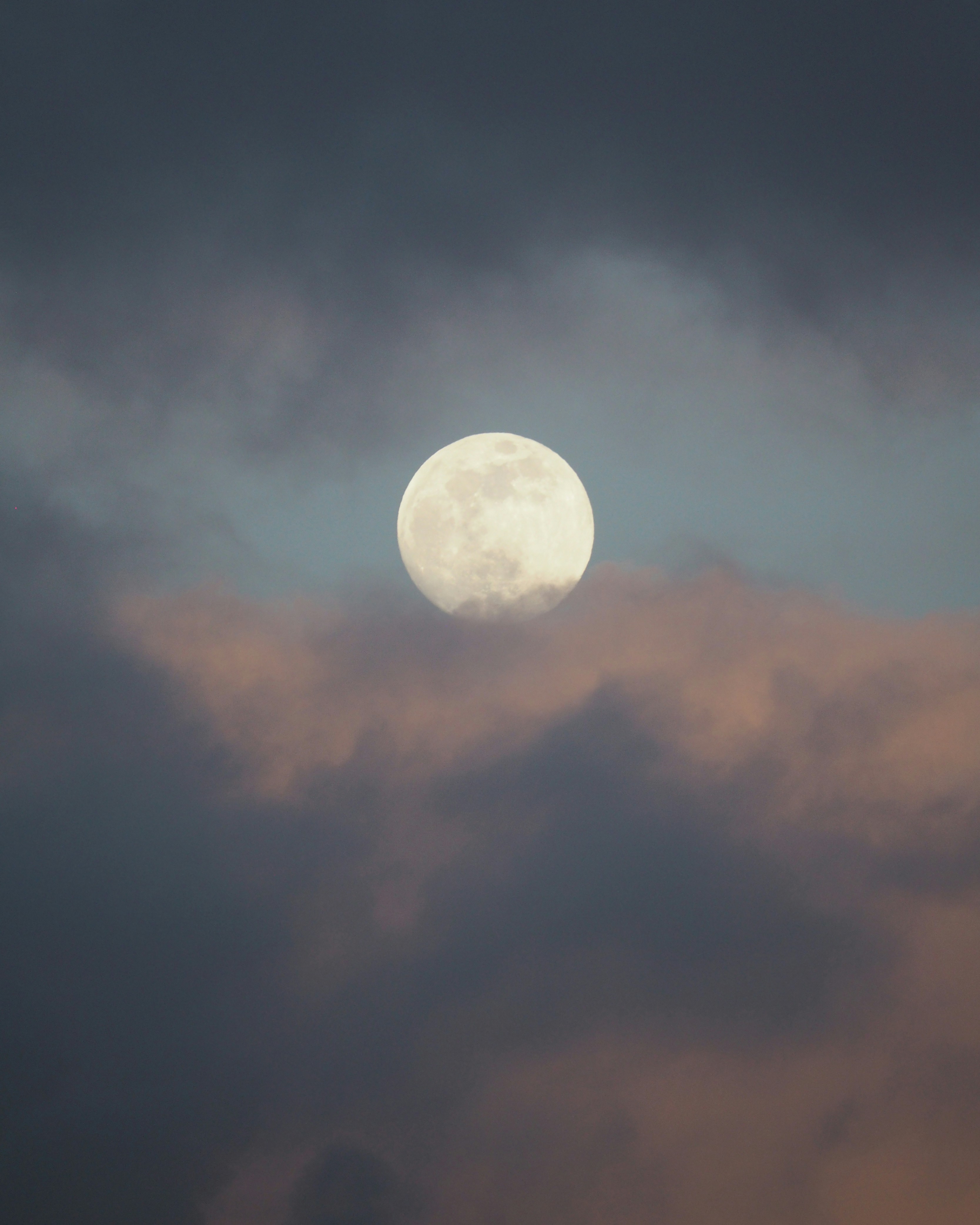 Photo by louiseandrolia