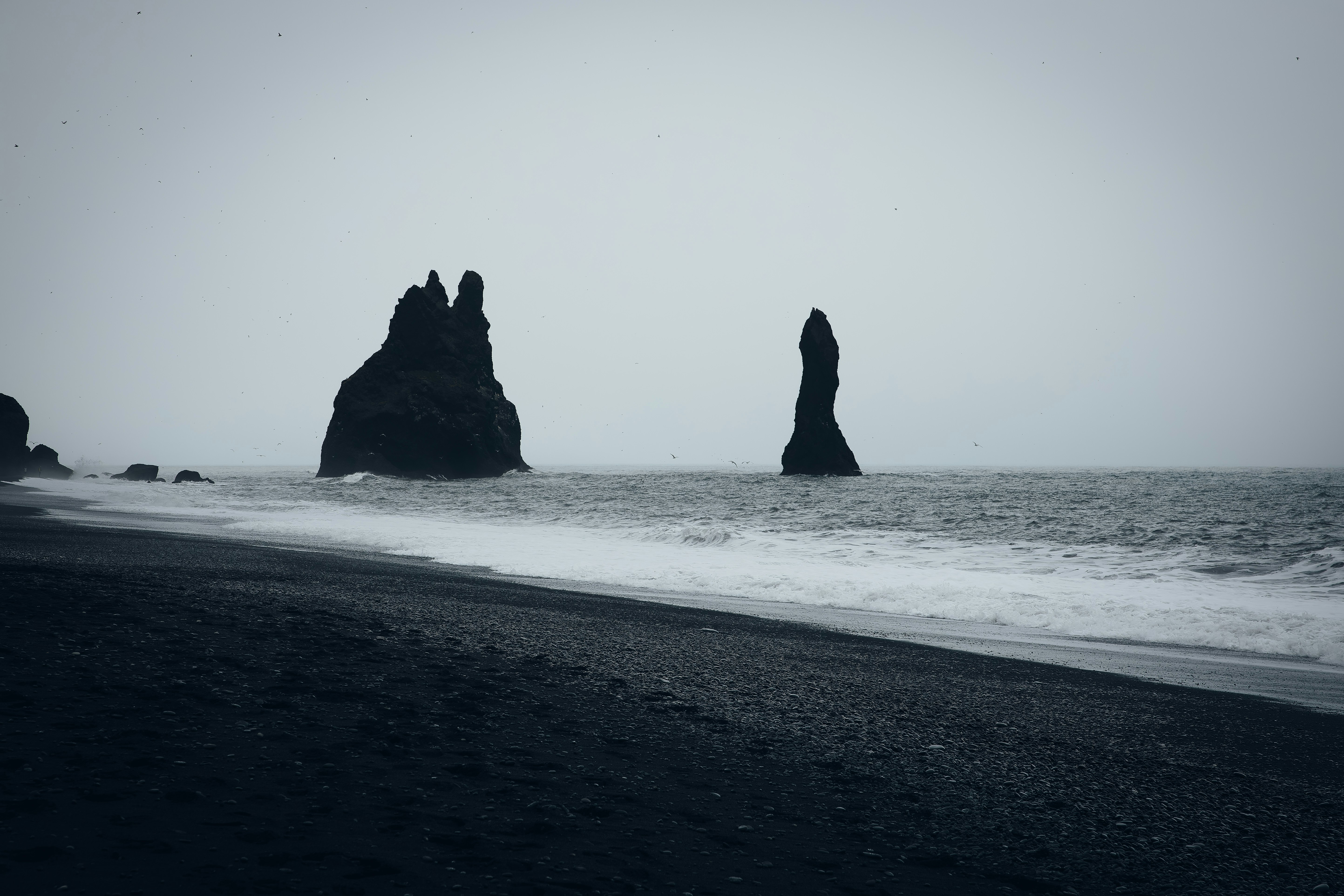 Photo by danny_rienecker