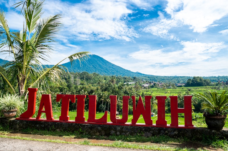 Sawah terasering Jatiluih wisata berkelanjutan Bali