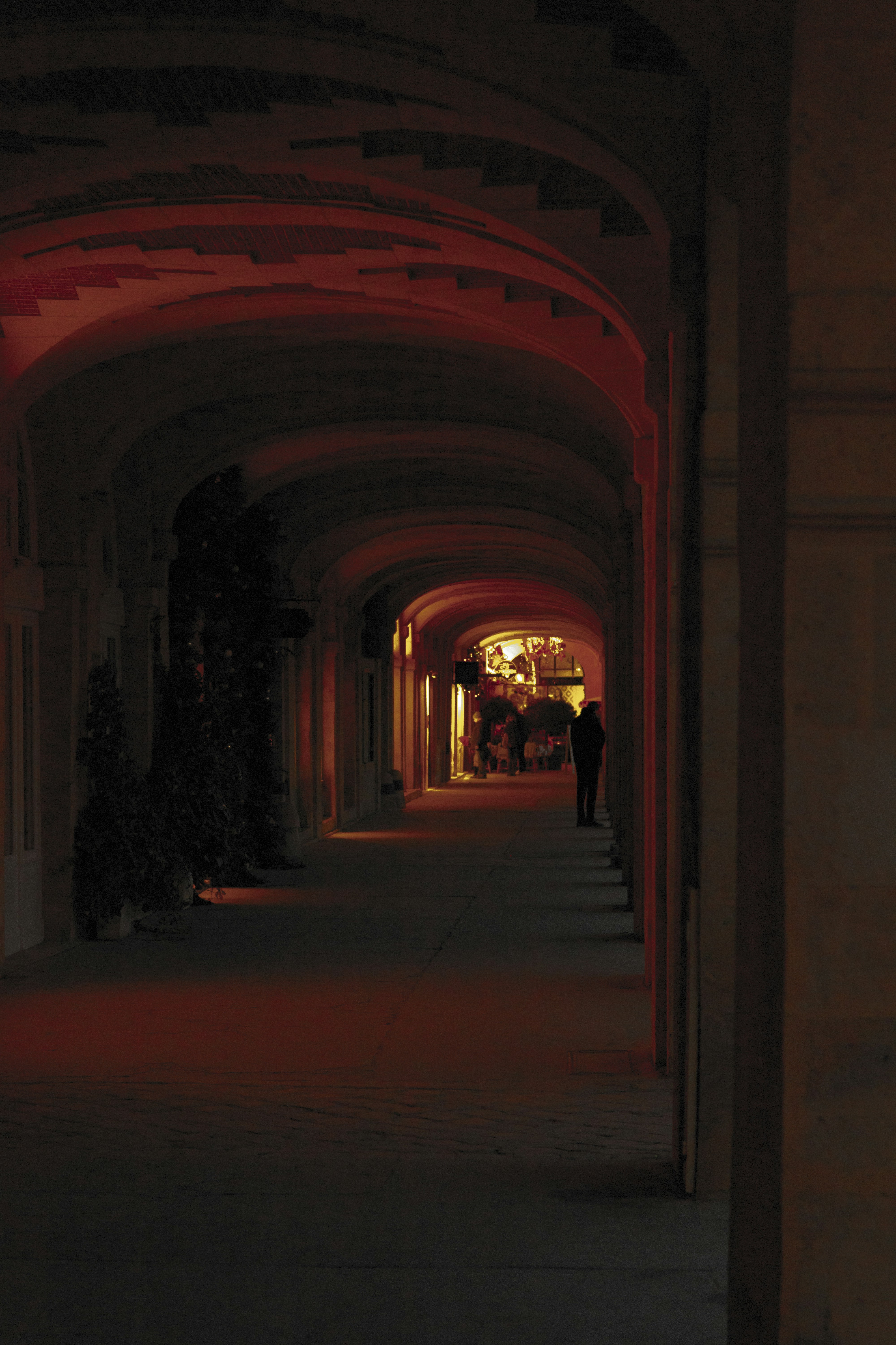 Photo by chionesfede