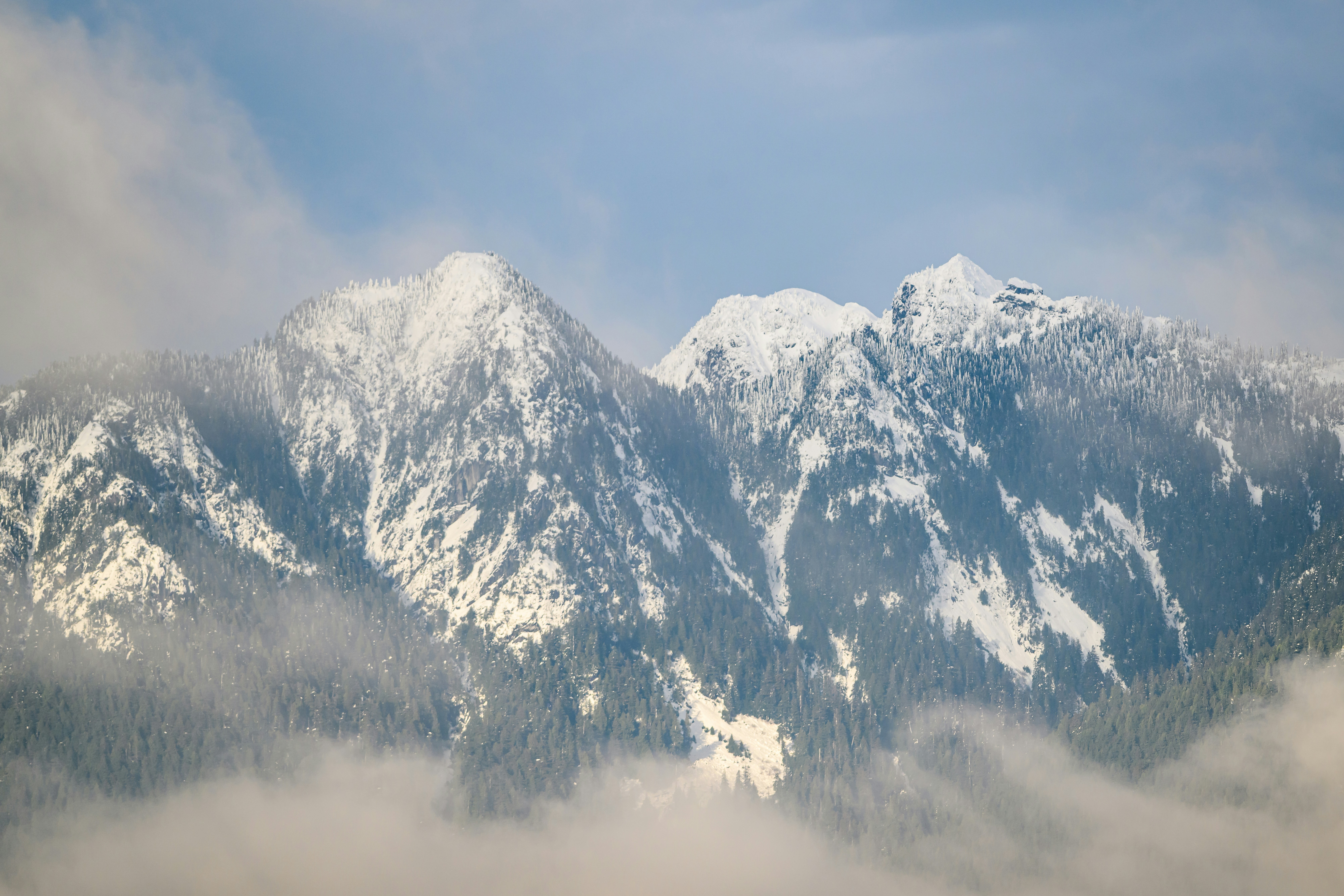 Photo by albertstoynov