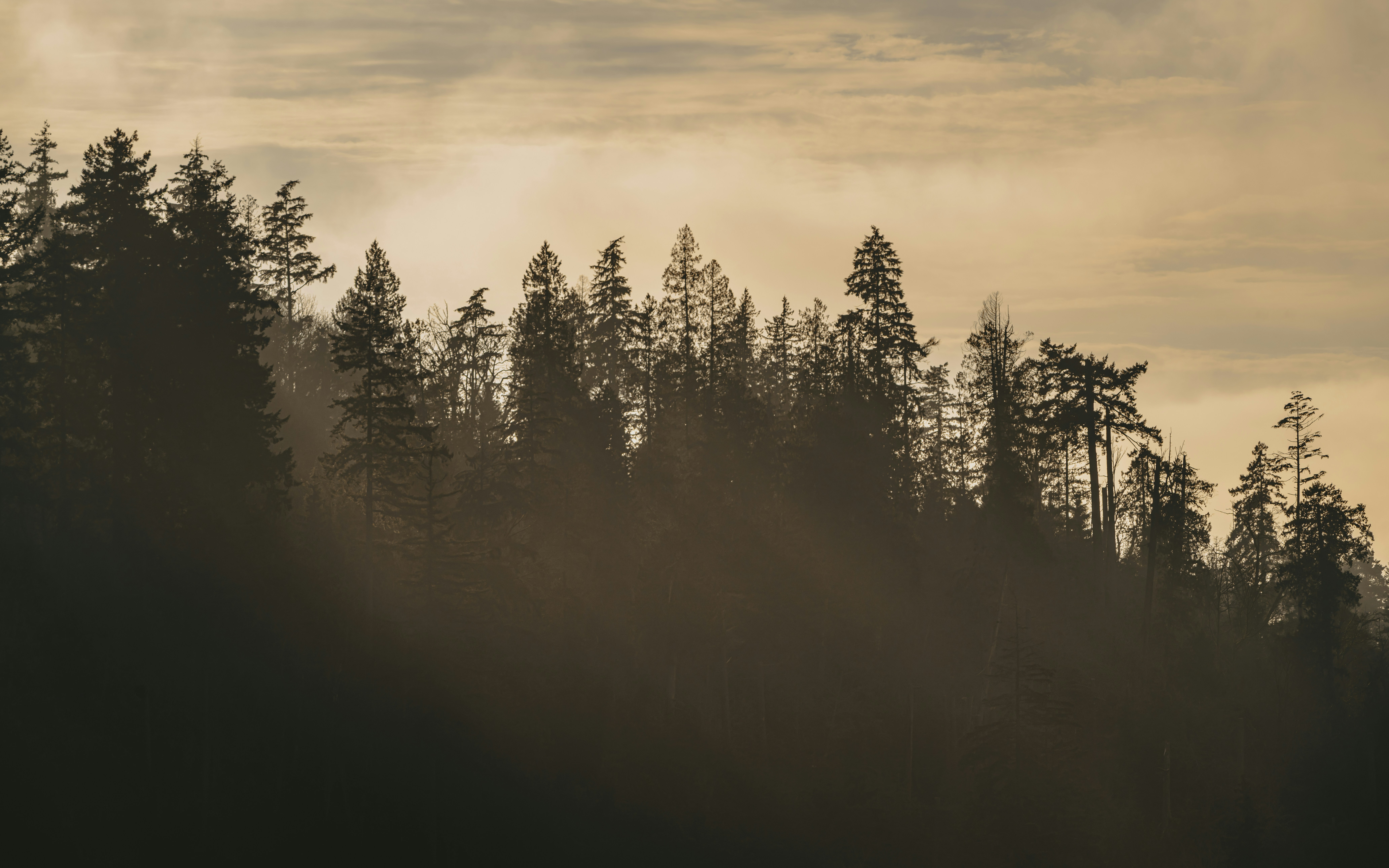 Photo by albertstoynov