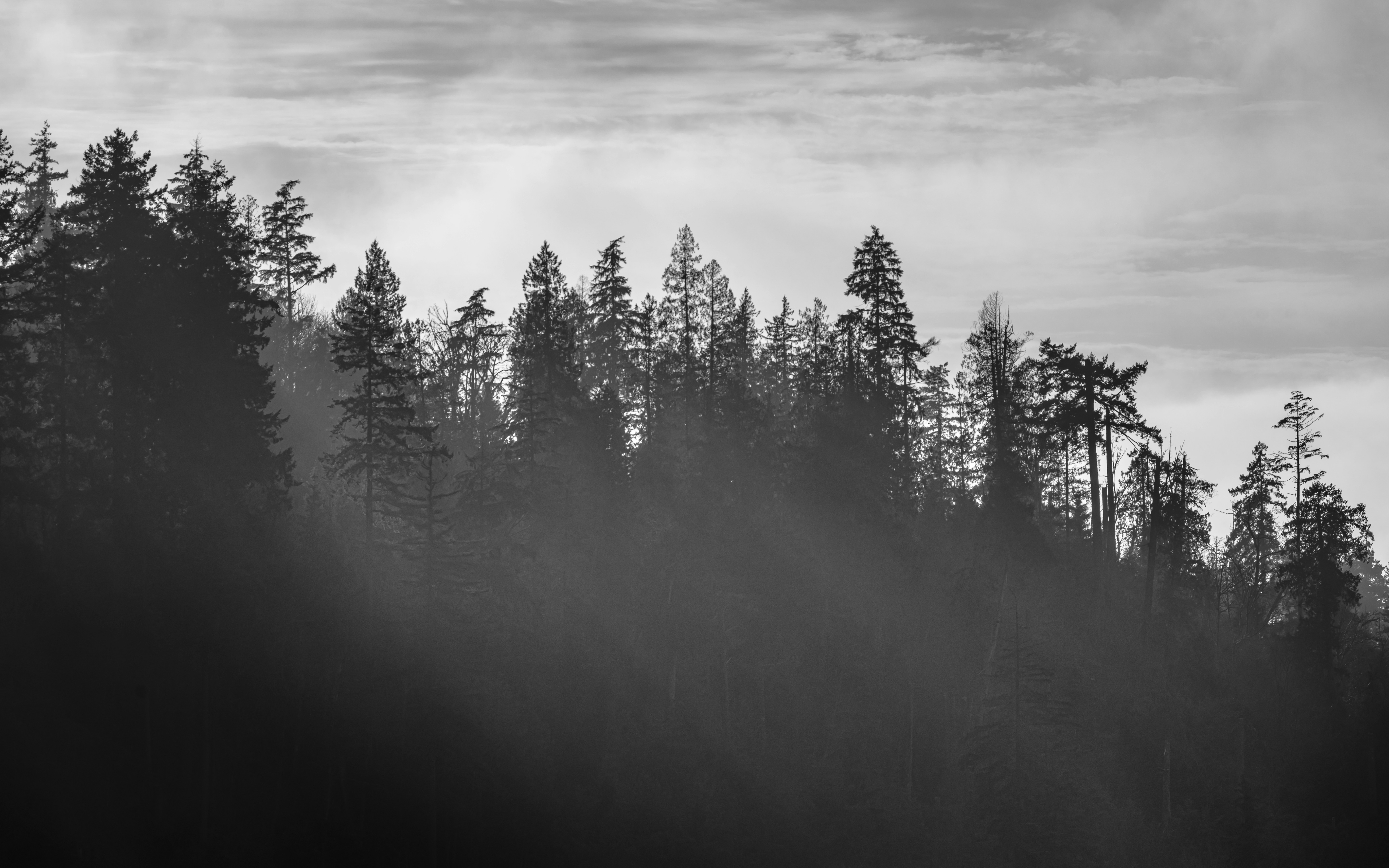 Photo by albertstoynov