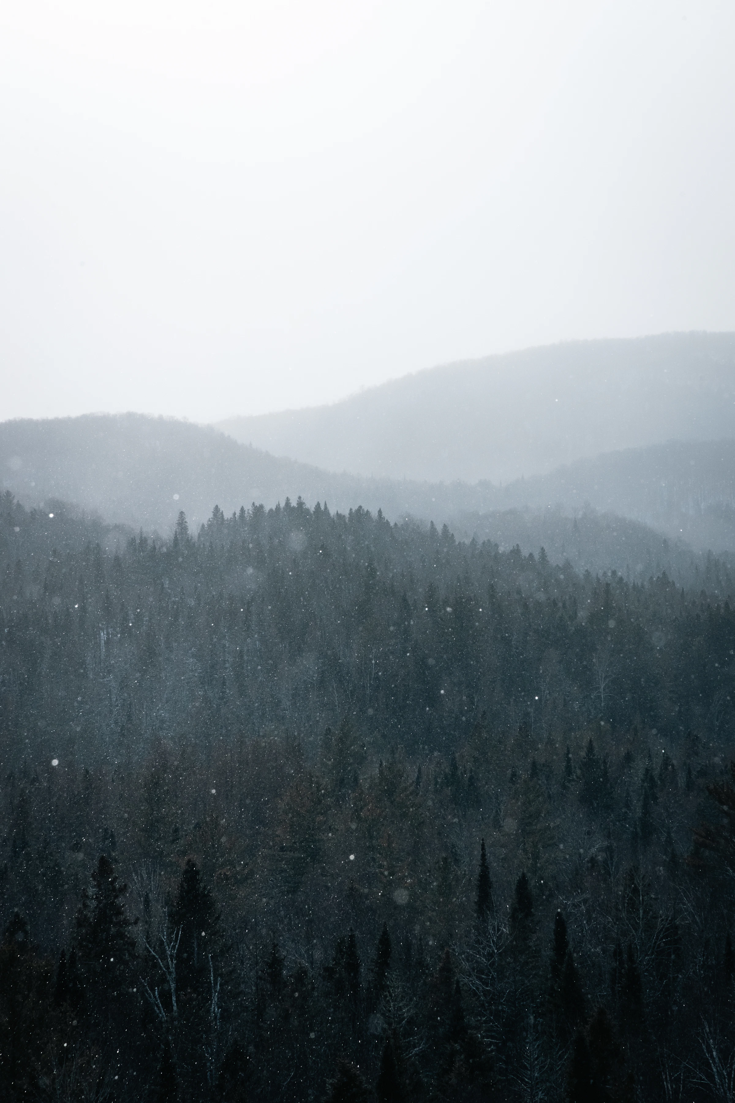 The mountains at Mont Tremblant Resort.