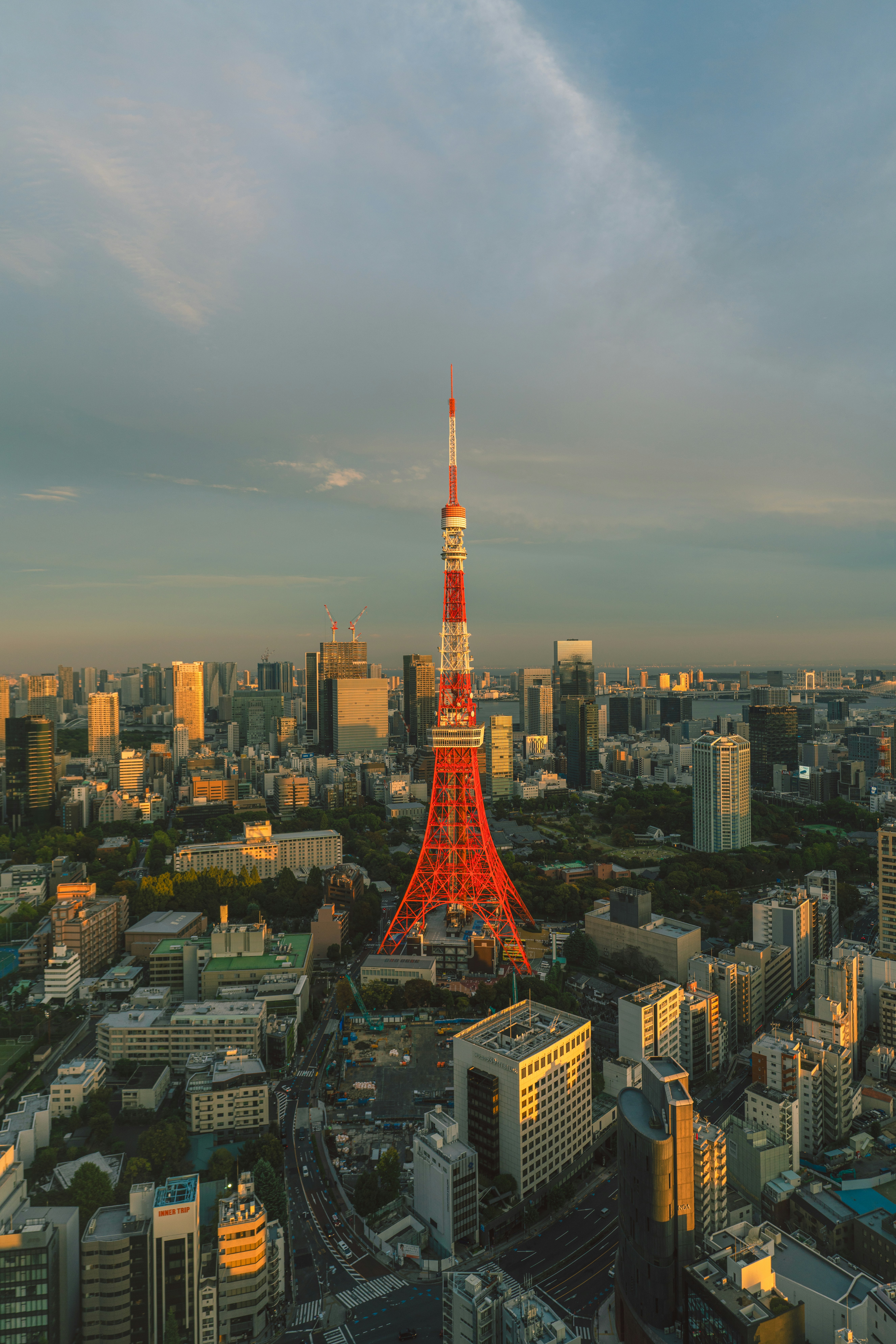 Photo by diegopadilla