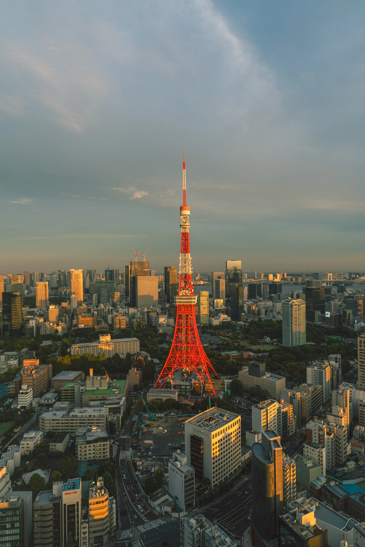 Tokyo Tower rising above the vast city skyline in warm sunset light