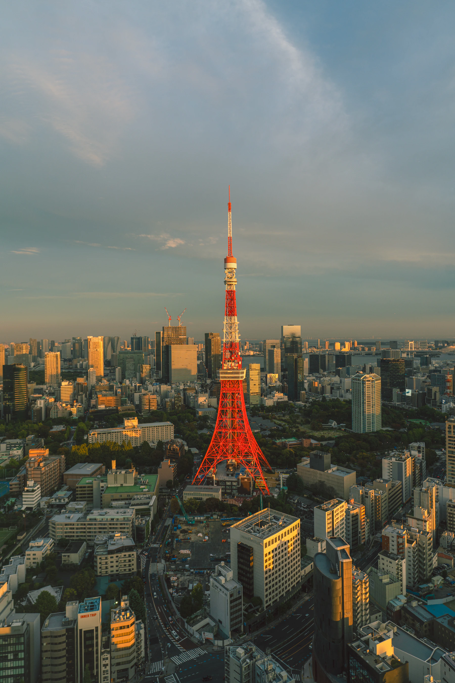 Tokyo city lights and streets after dark