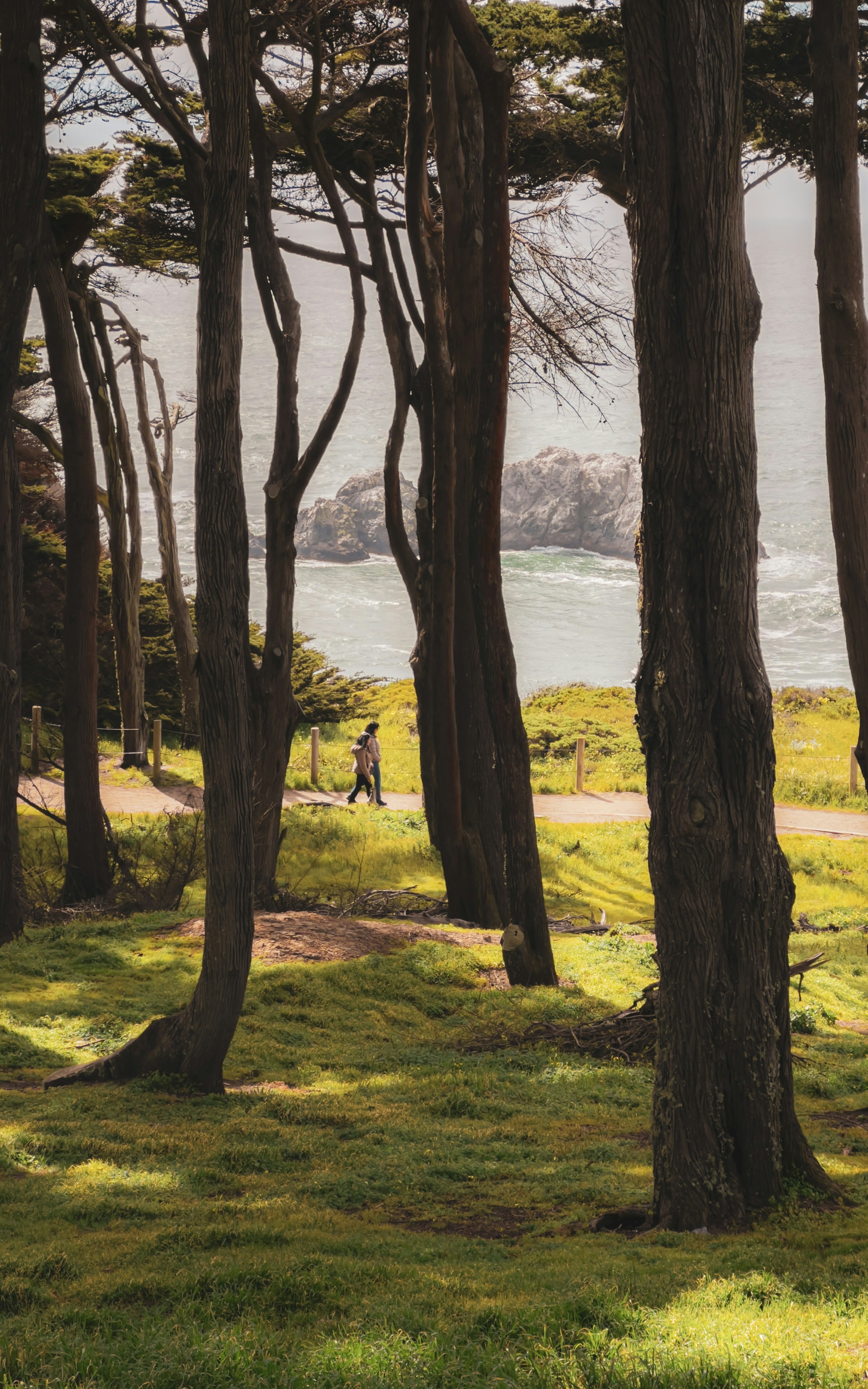 Two people walk on a path near the ocean.