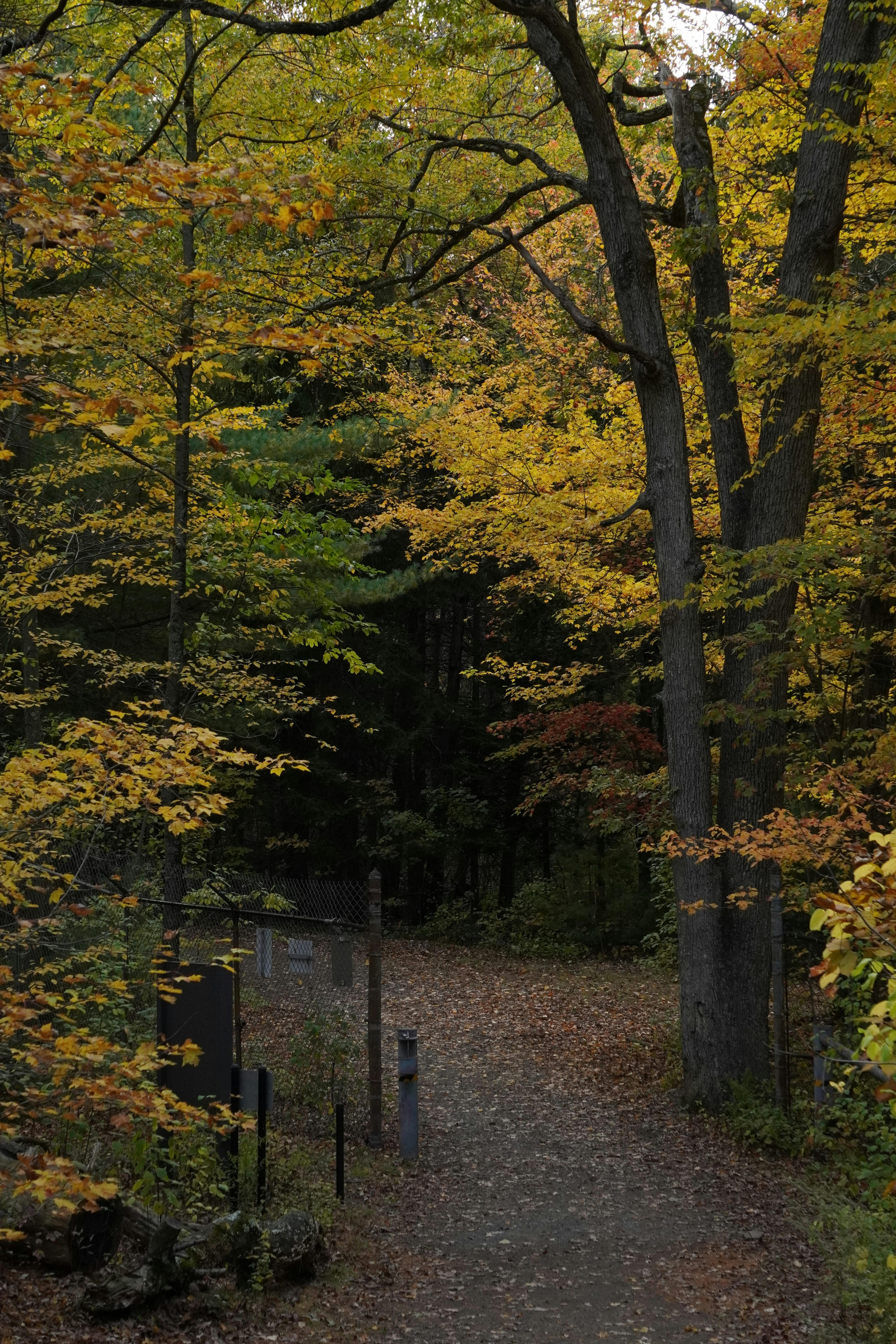 Photo by calm_stardust