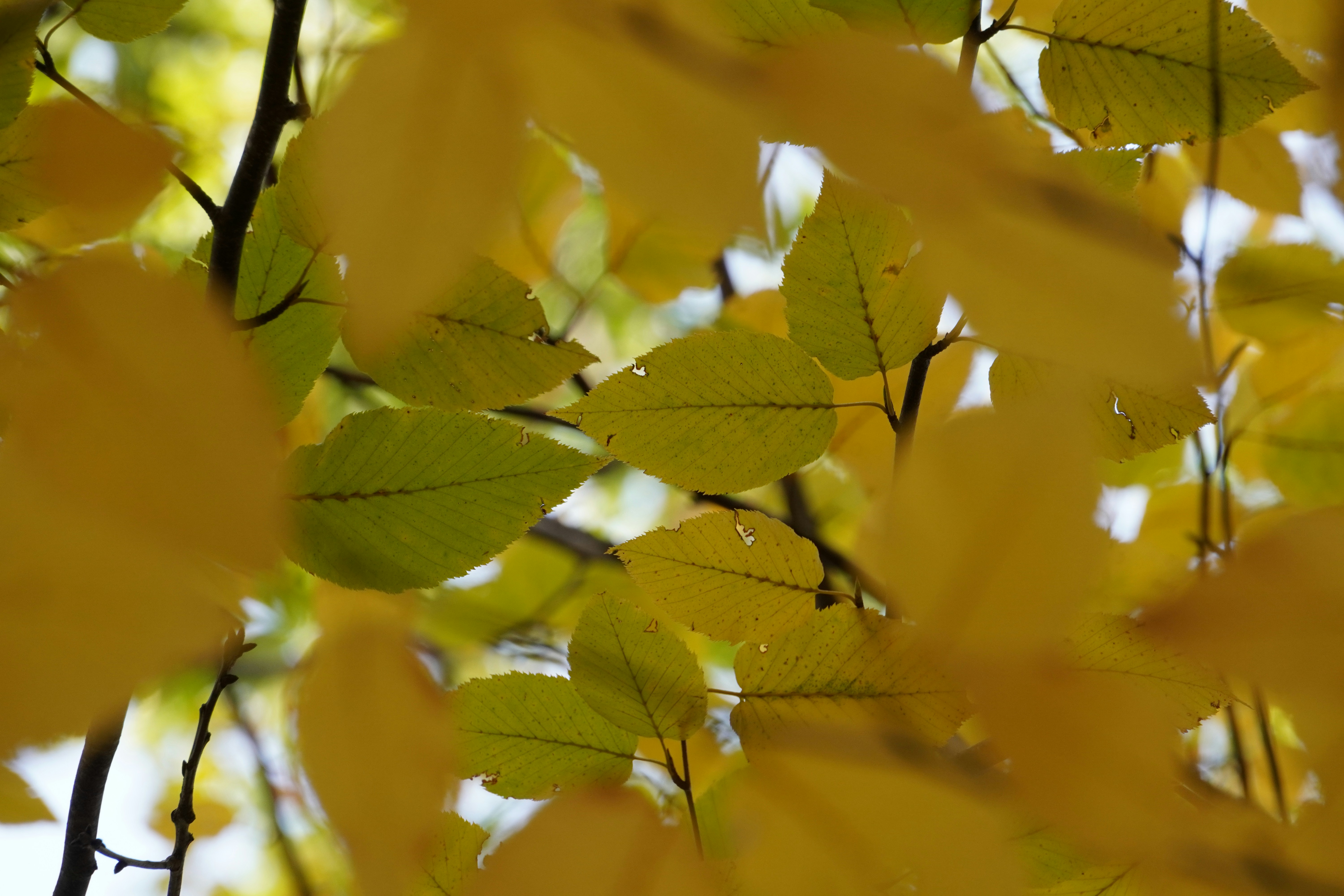 Photo by calm_stardust