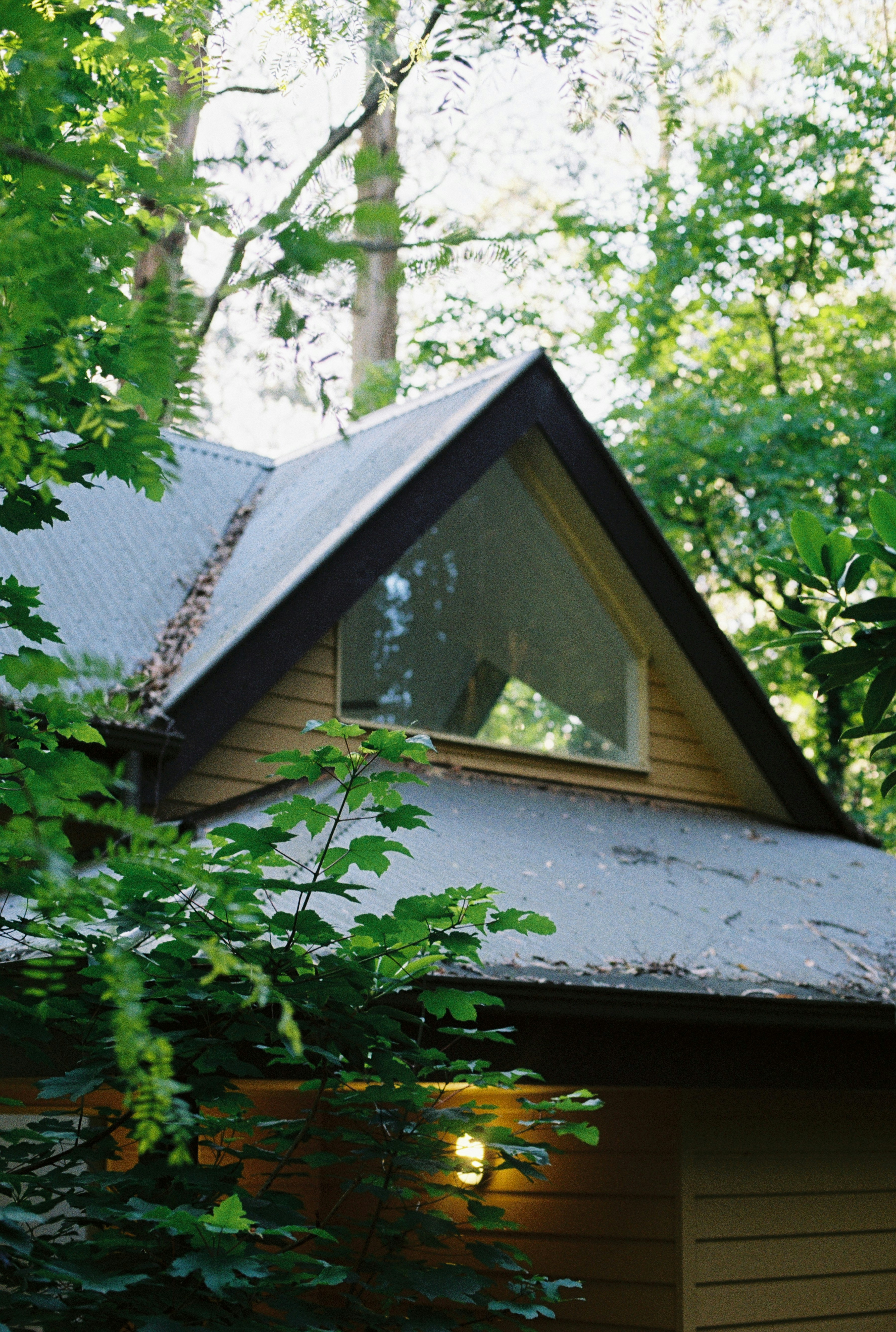 Photo by graceannefully