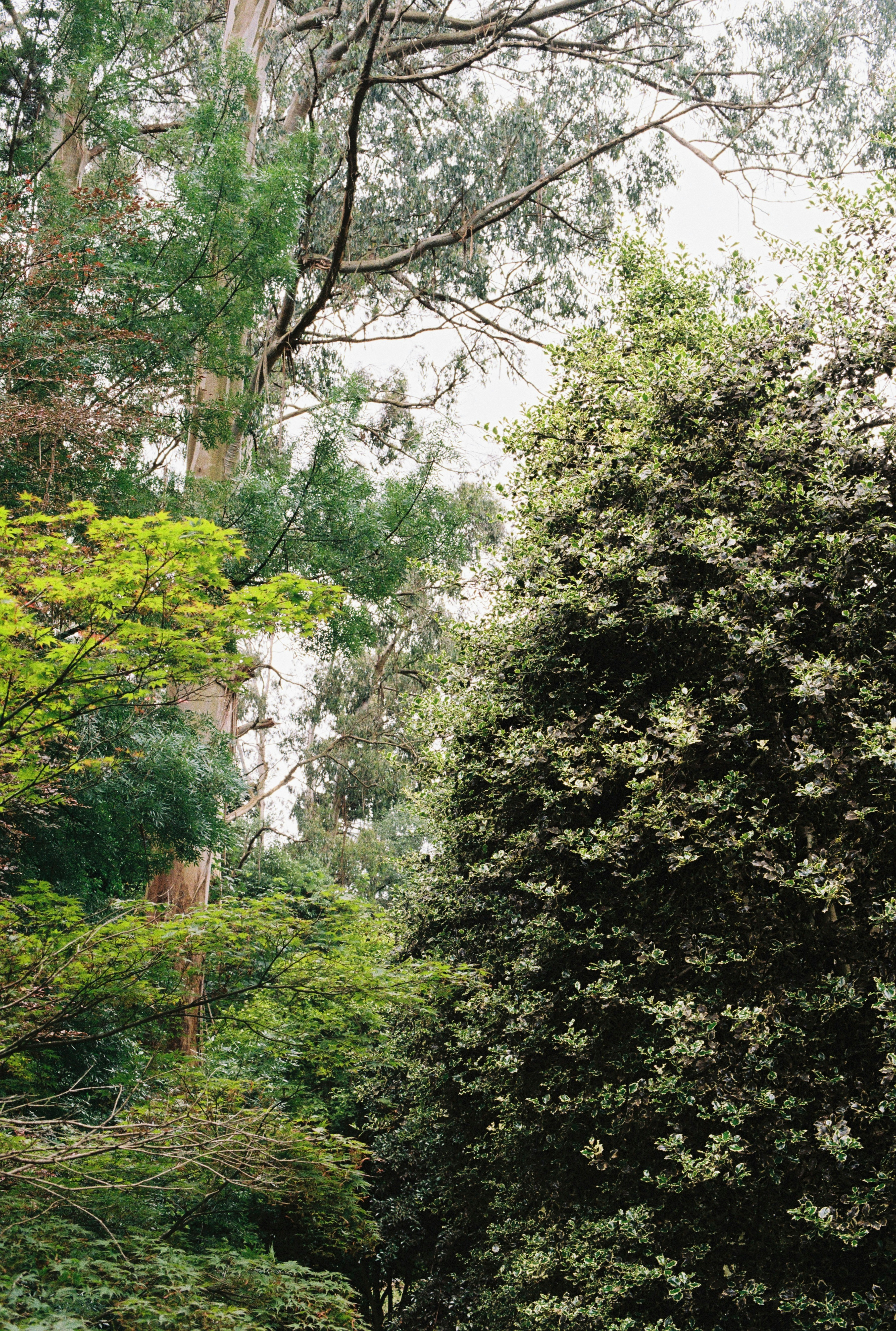 Photo by graceannefully