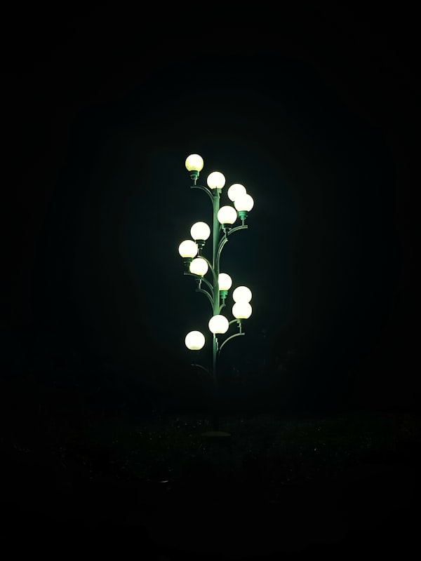 Outdoor landscape lighting installation Denver