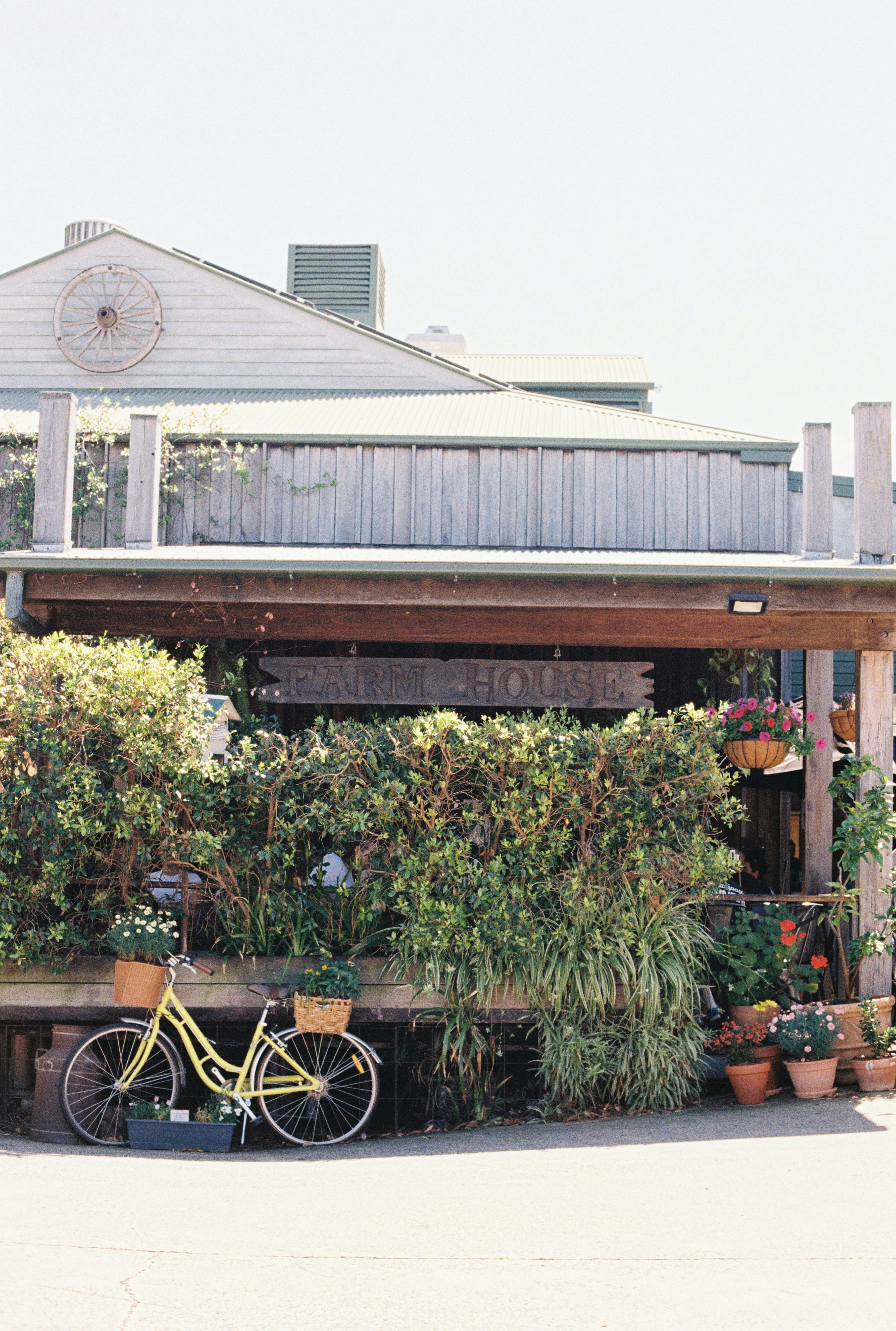 Photo by graceannefully