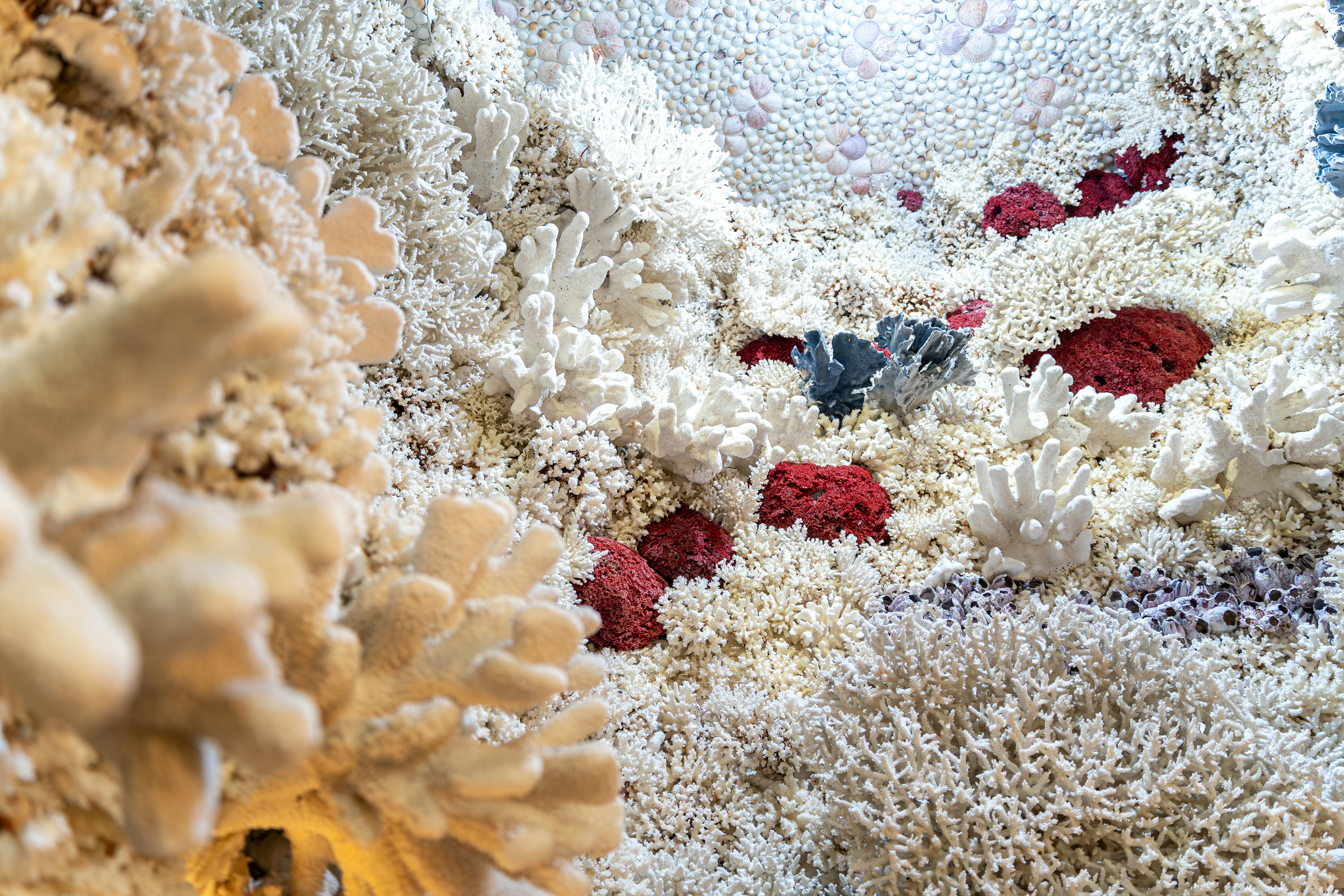 Photo by winstonchen