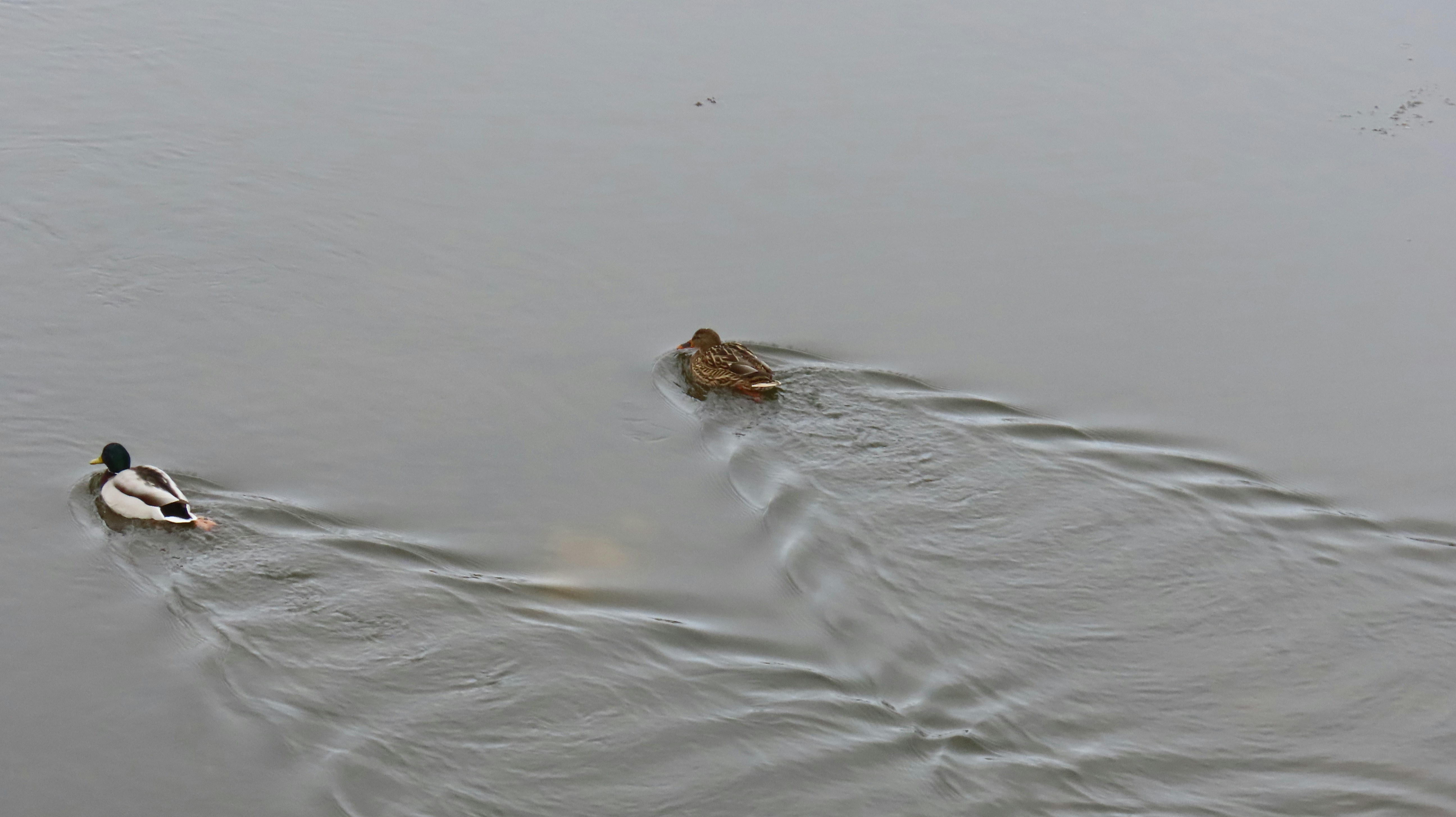 Photo by james_demingxu