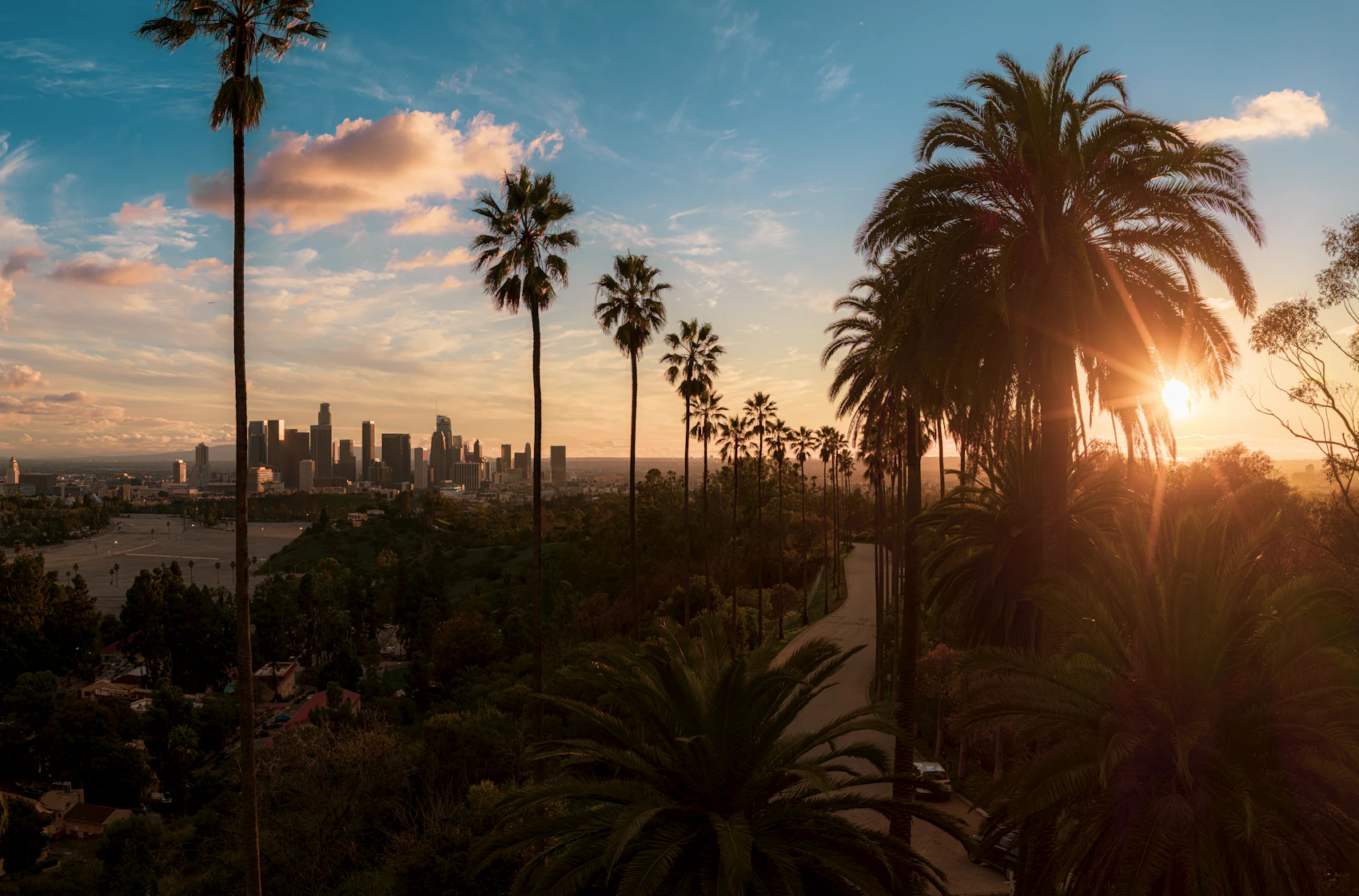 Palm trees and the Los Angeles skyline at golden hour