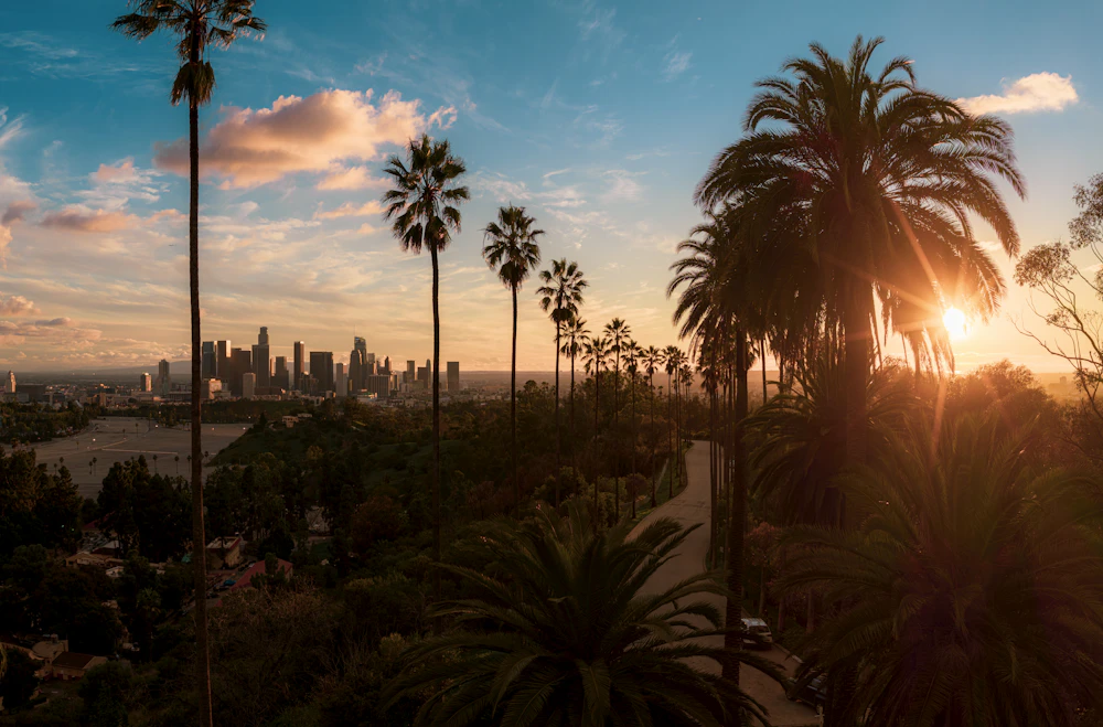 Palm trees and the Los Angeles skyline at golden hour