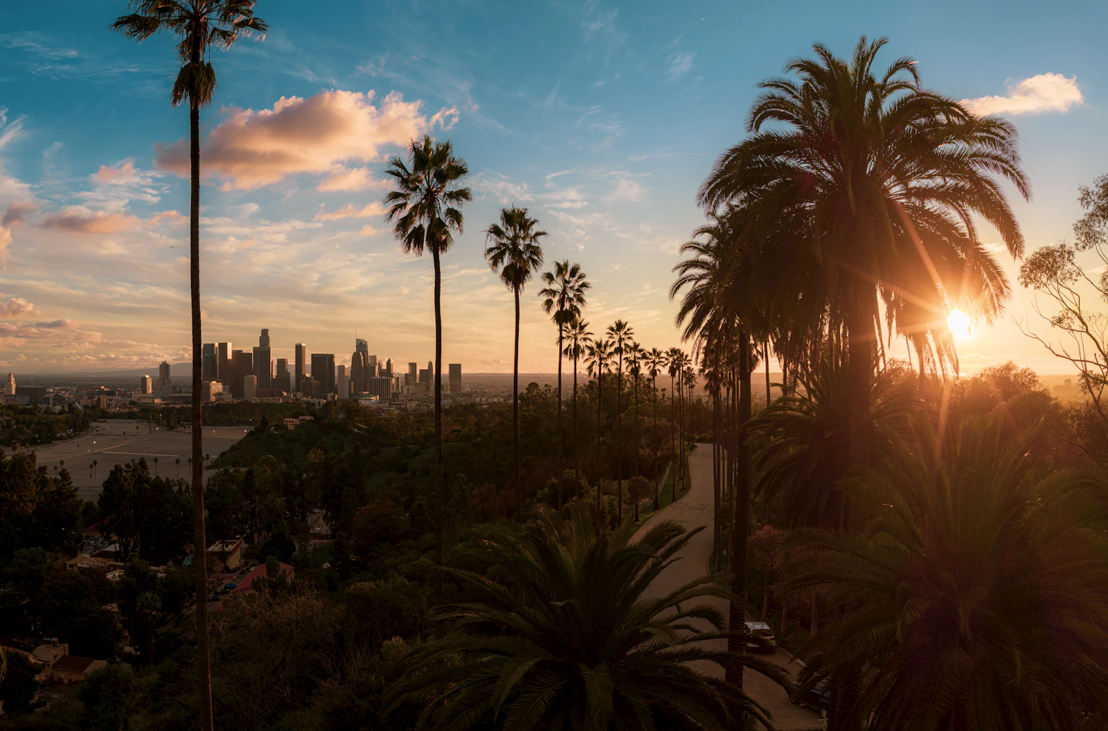 Palm trees and Los Angeles skyline at golden hour