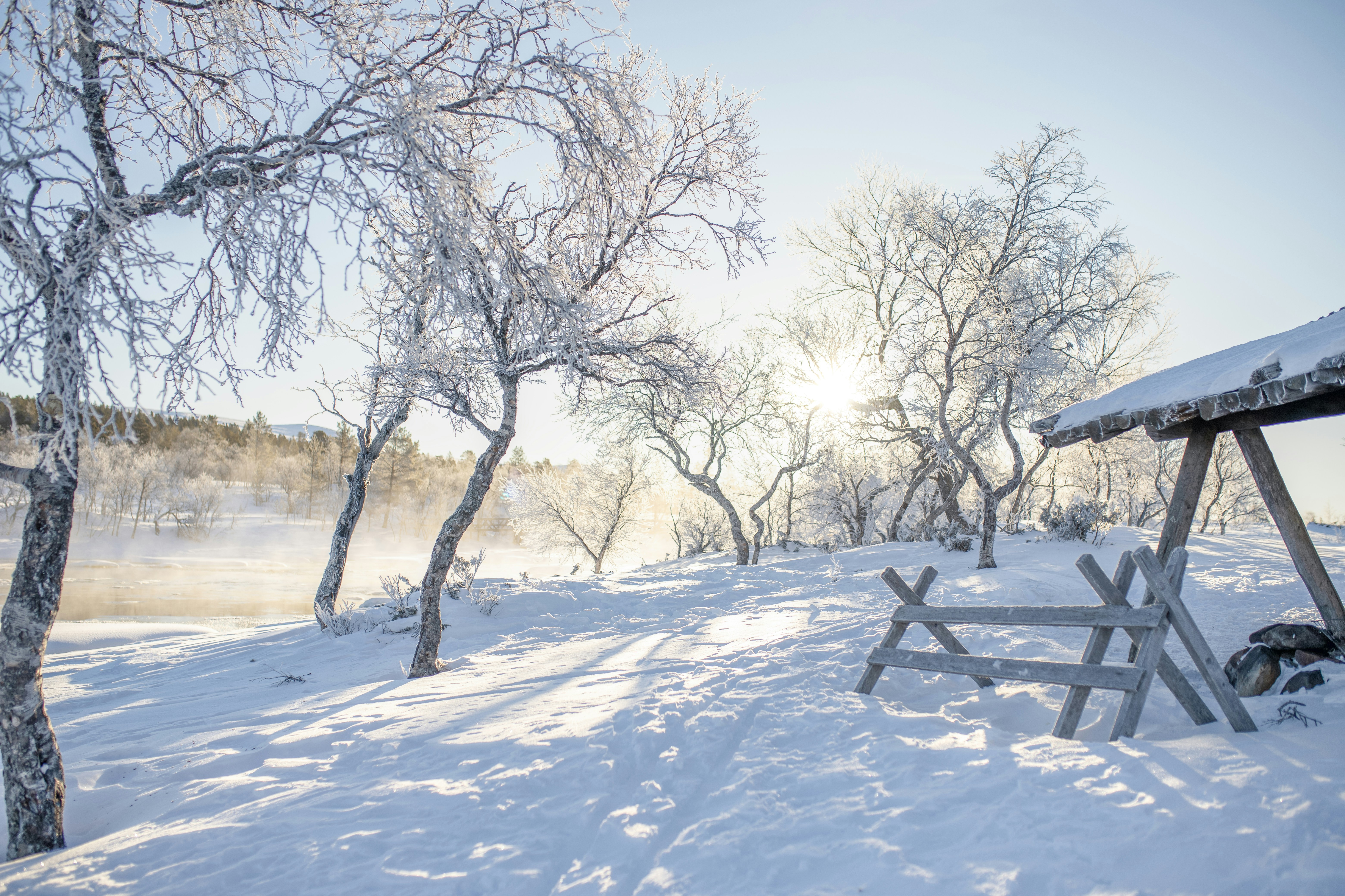 Frosty trees and a wooden shelter in winter sunlight.