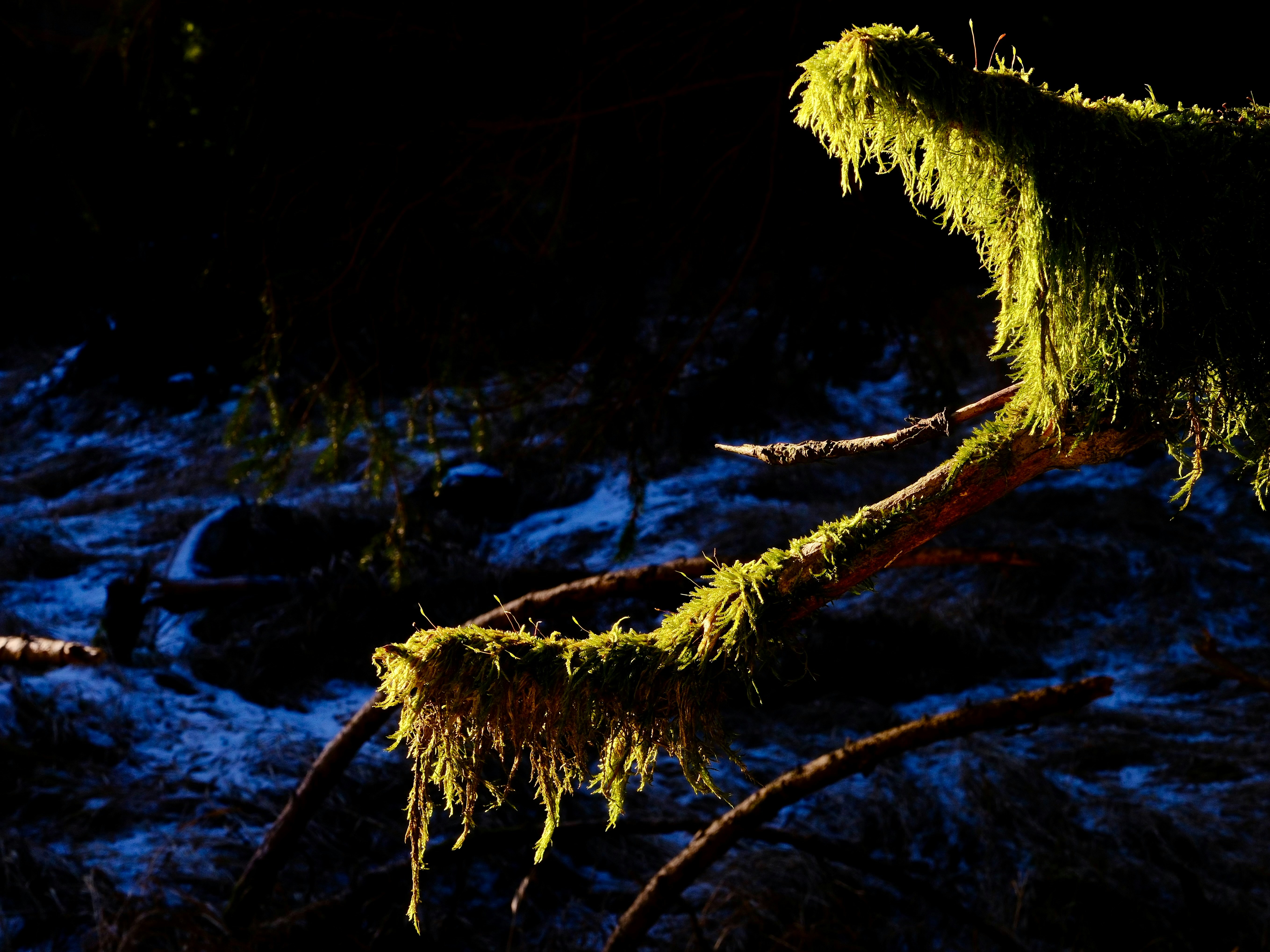 Solo Camping: Mental Preparation for a Safe Trip