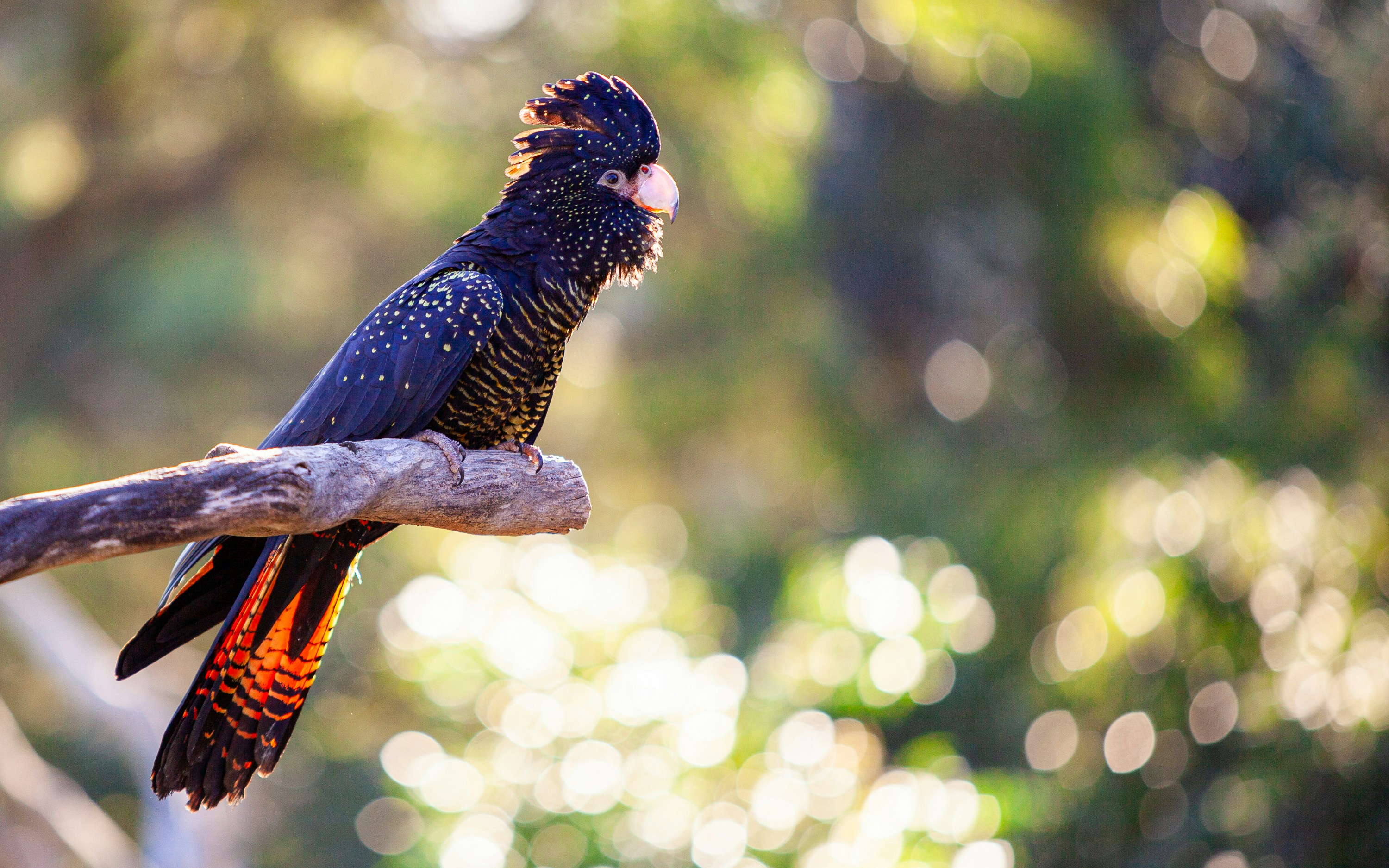 Photo by deletedpenguin