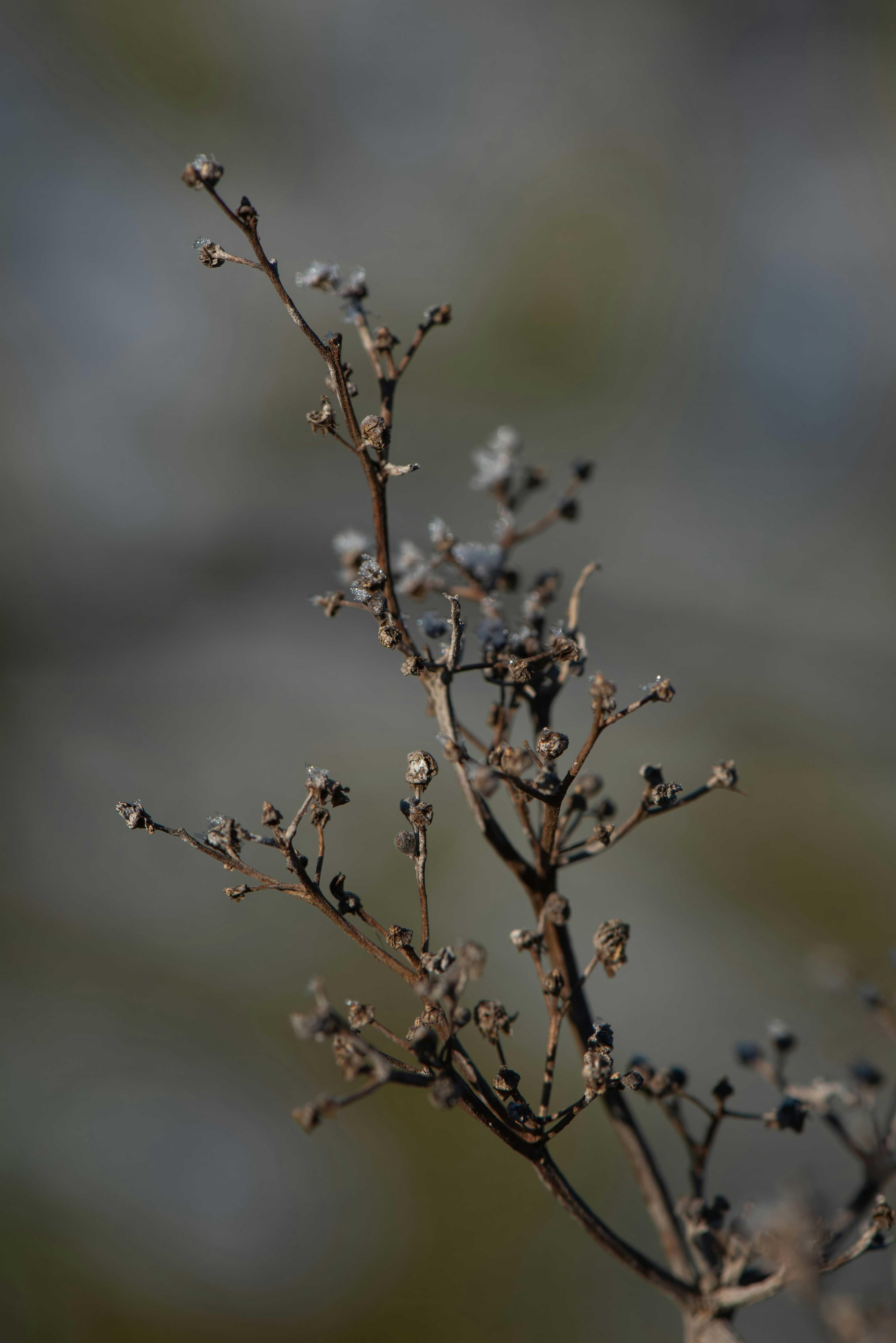 Photo by millionsofpixelsbydragos