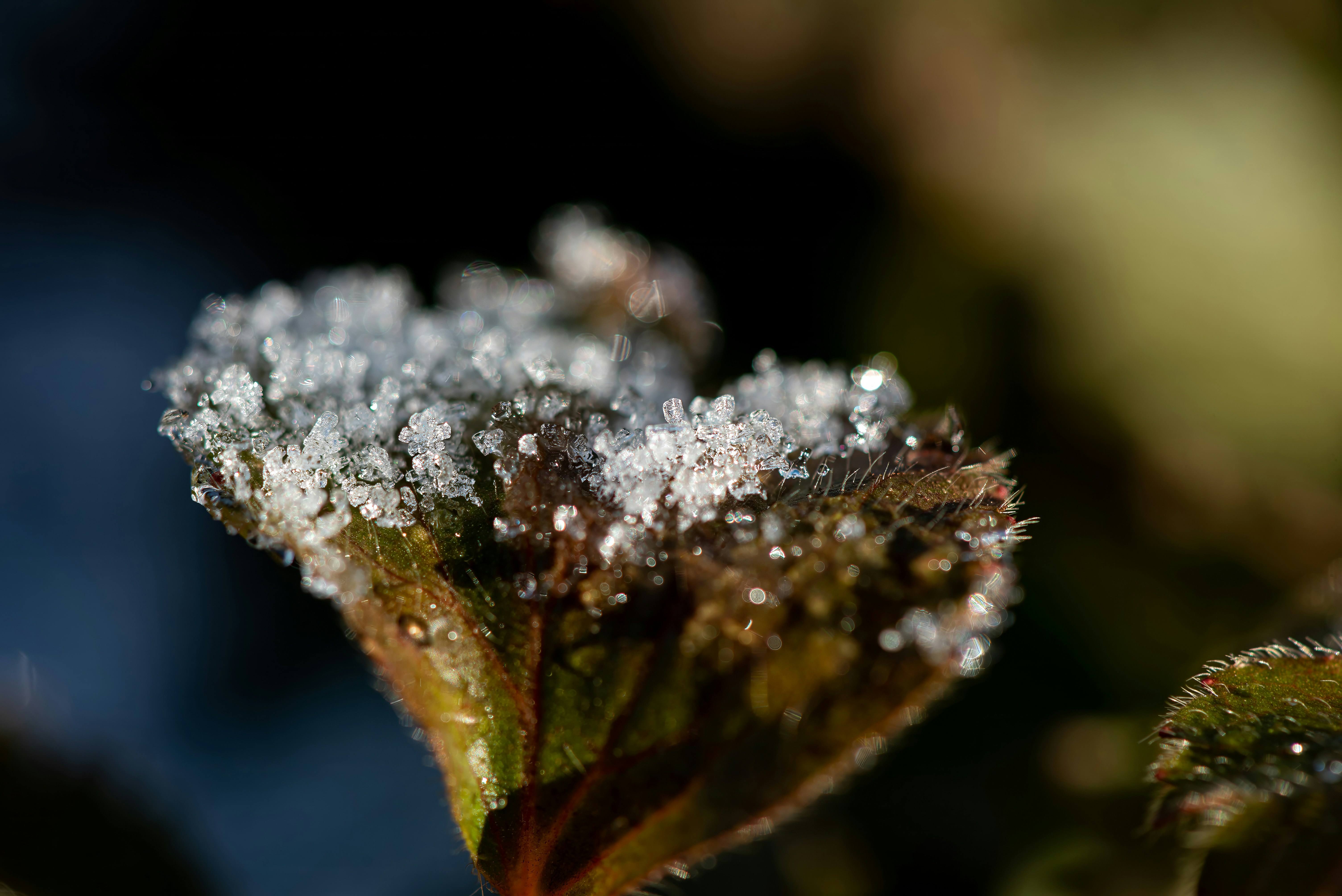 Photo by millionsofpixelsbydragos