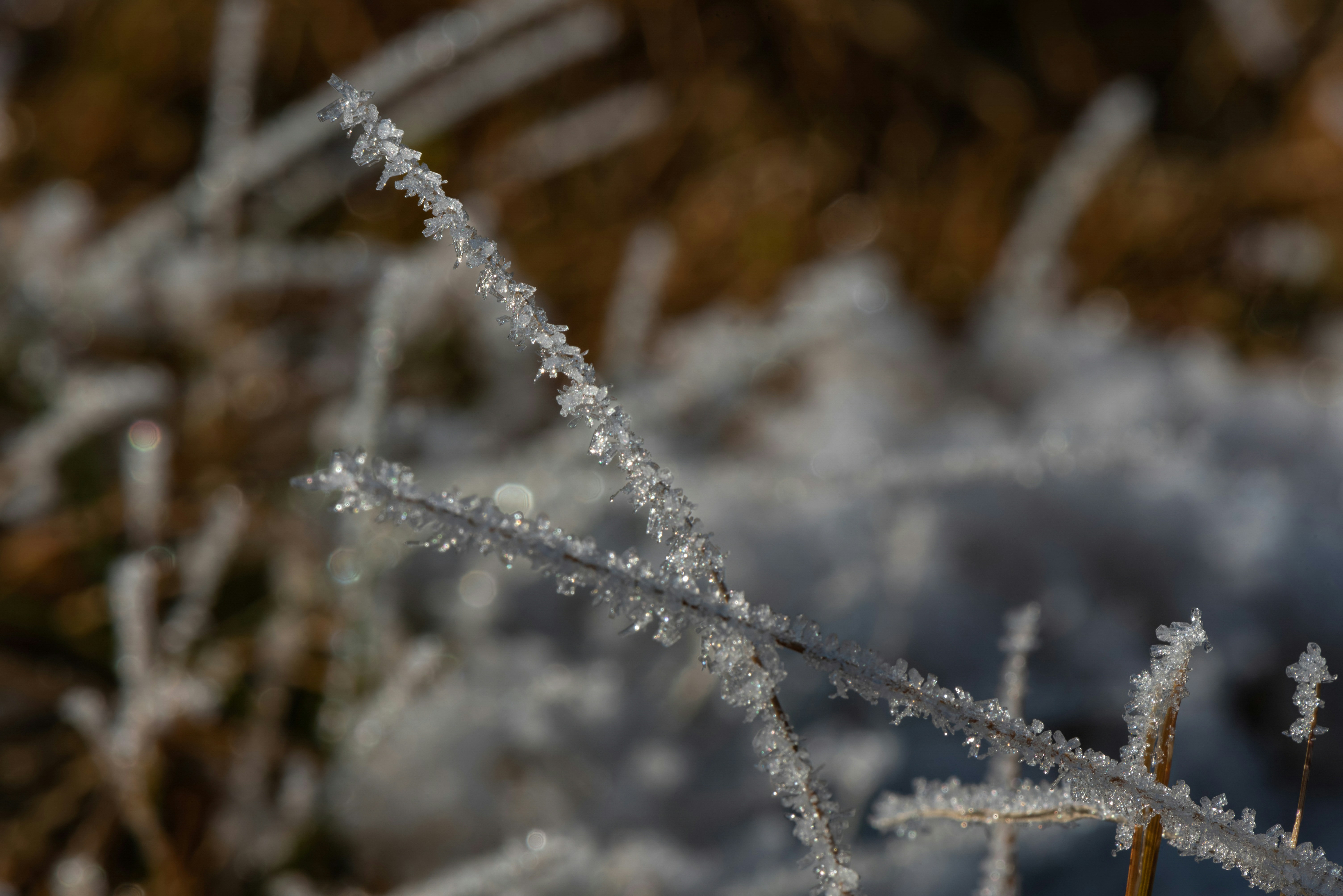 Photo by millionsofpixelsbydragos