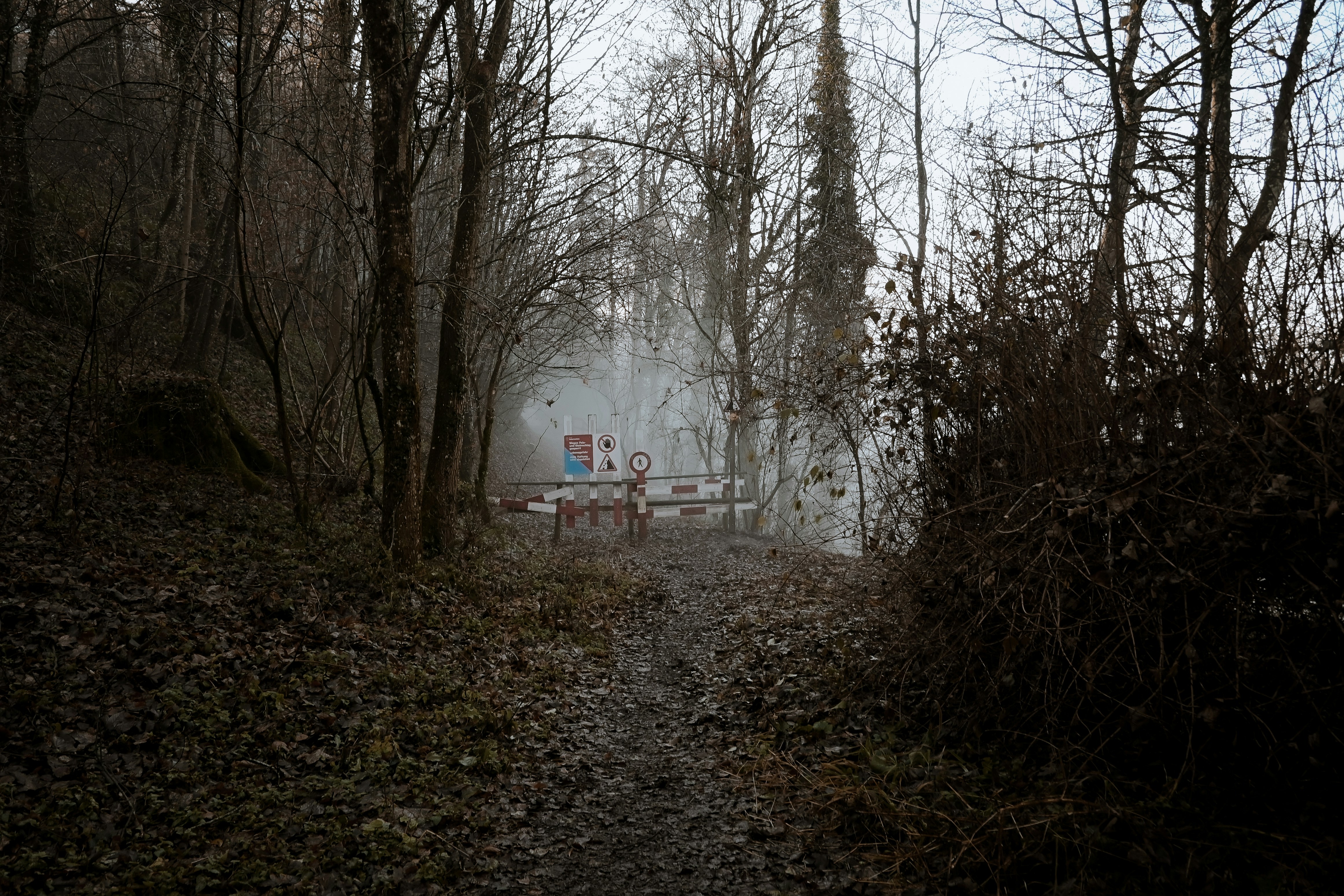 Photo by avignakaran