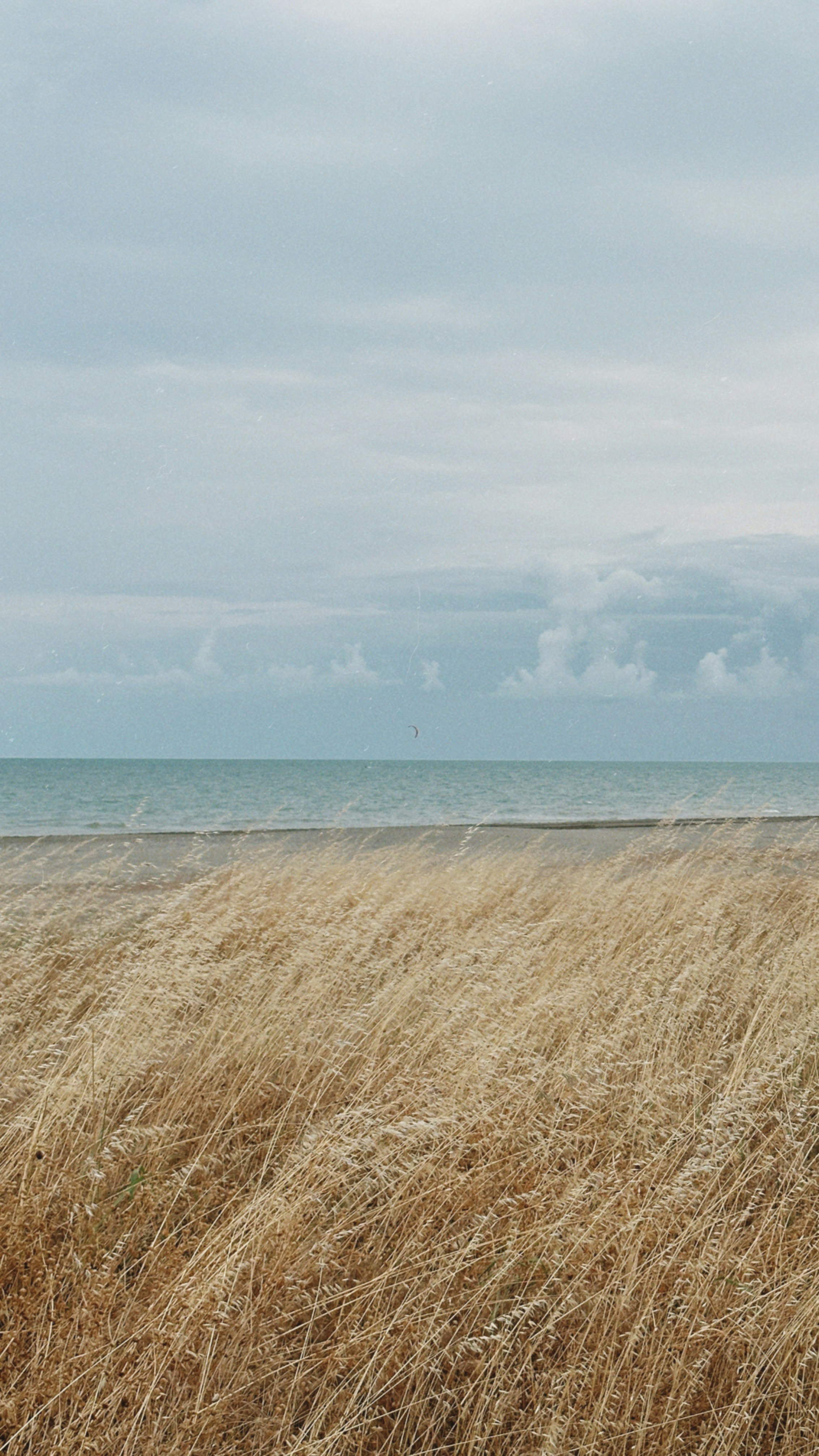 Photo by metehankaya