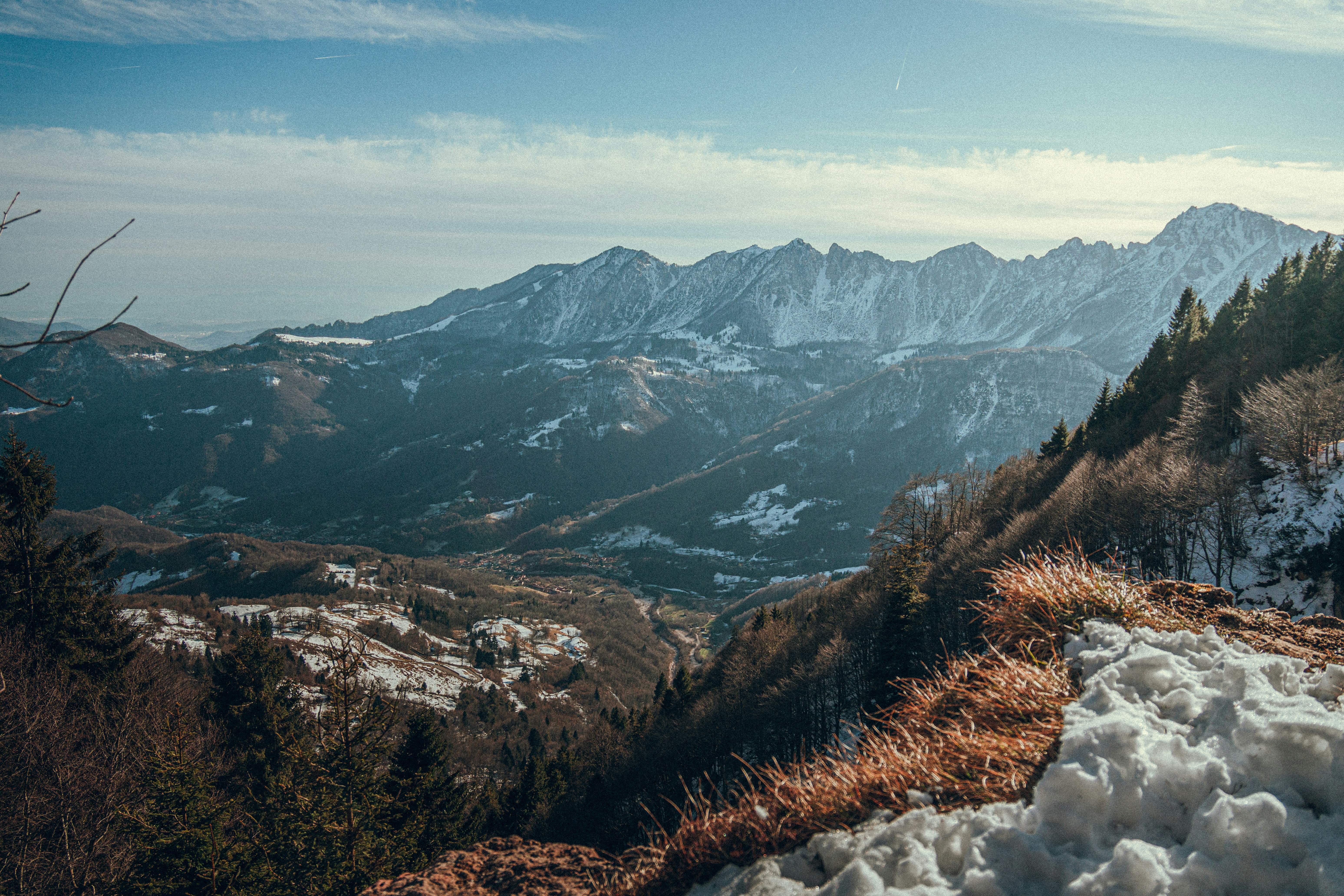 Snowy mountain range with trees and dry grass