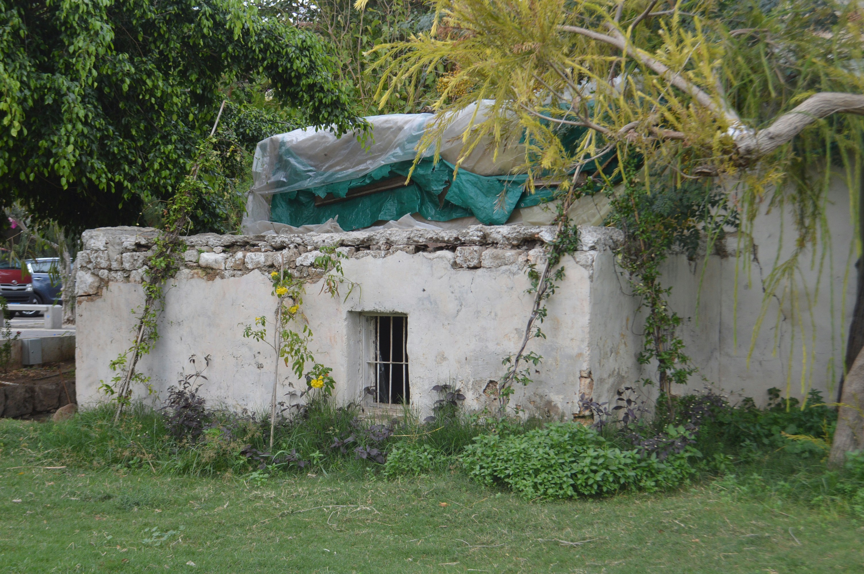 Old stone building with barred window and overgrown plants.