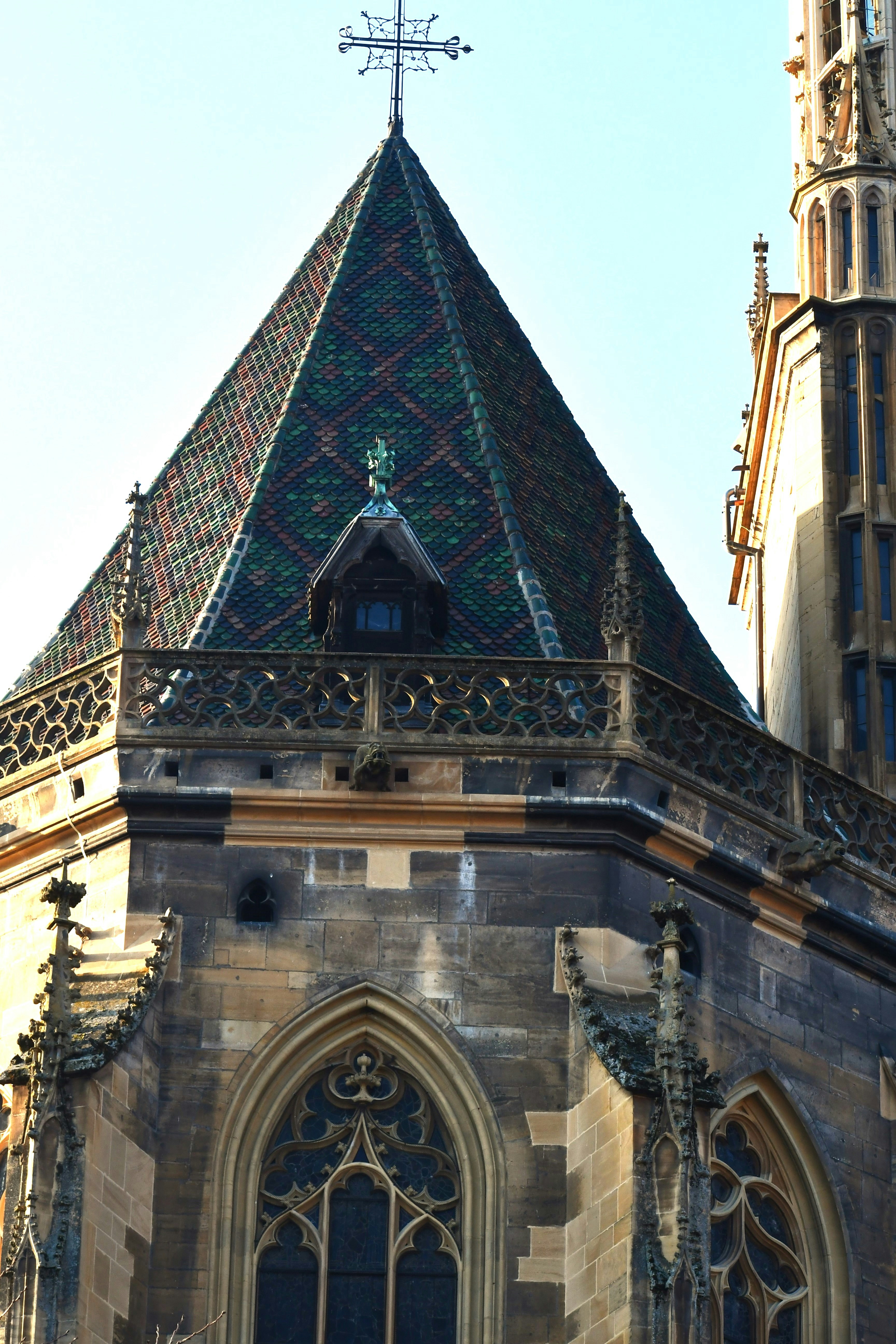 Photo by danielelarosa