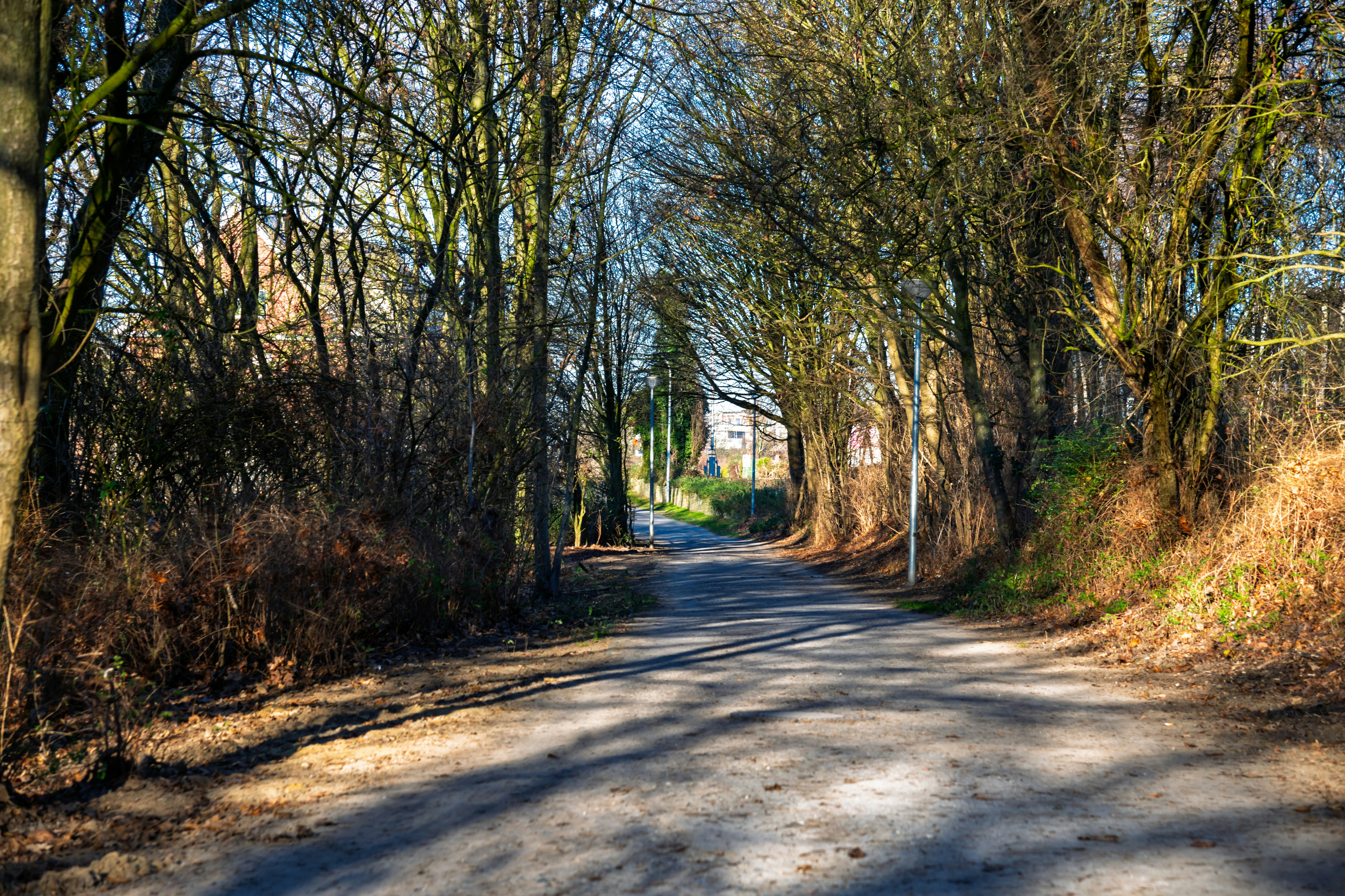 Winter Wellness Tips for Home Care: Protecting Against 'Frost Cracks'
