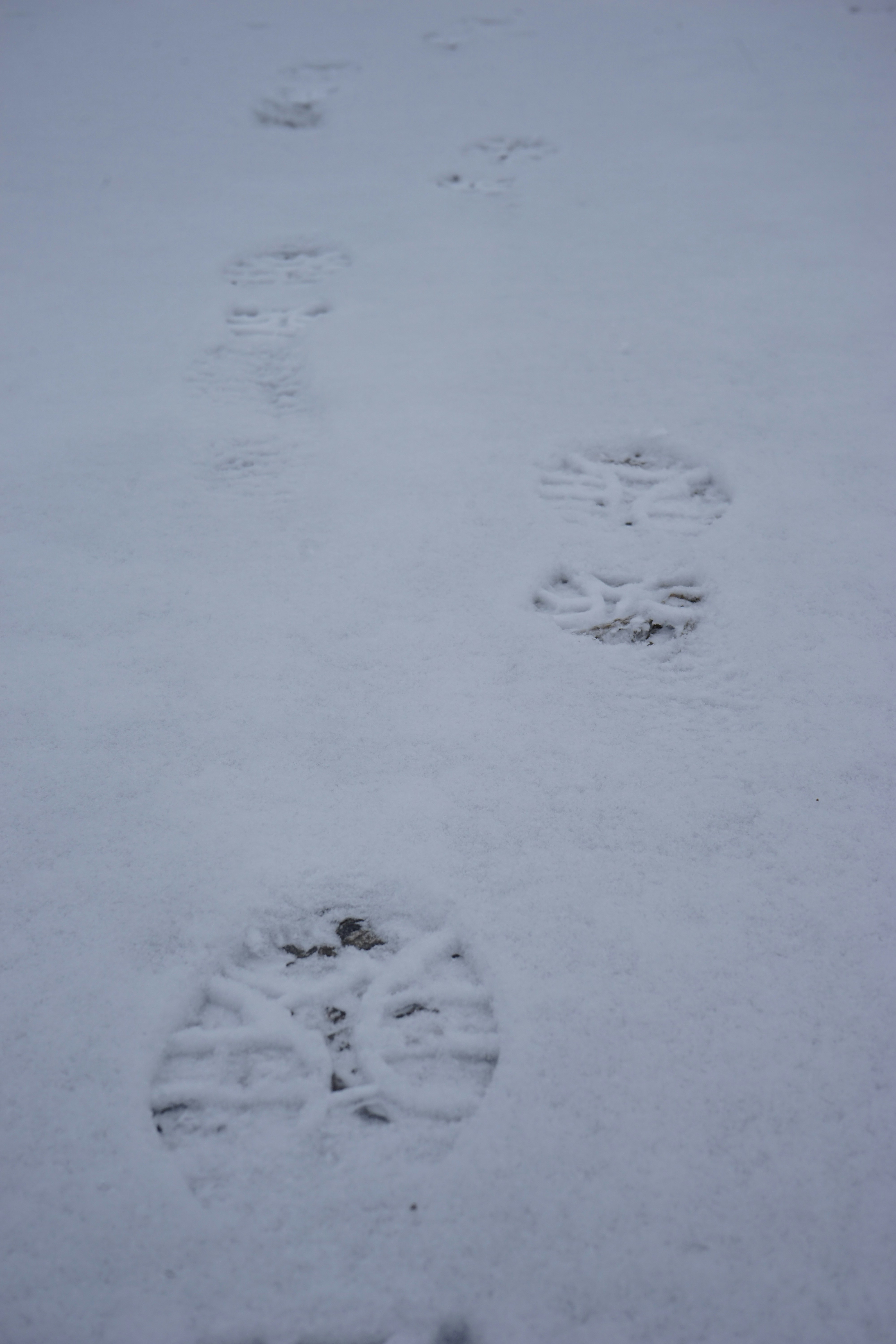 Photo by danielschild