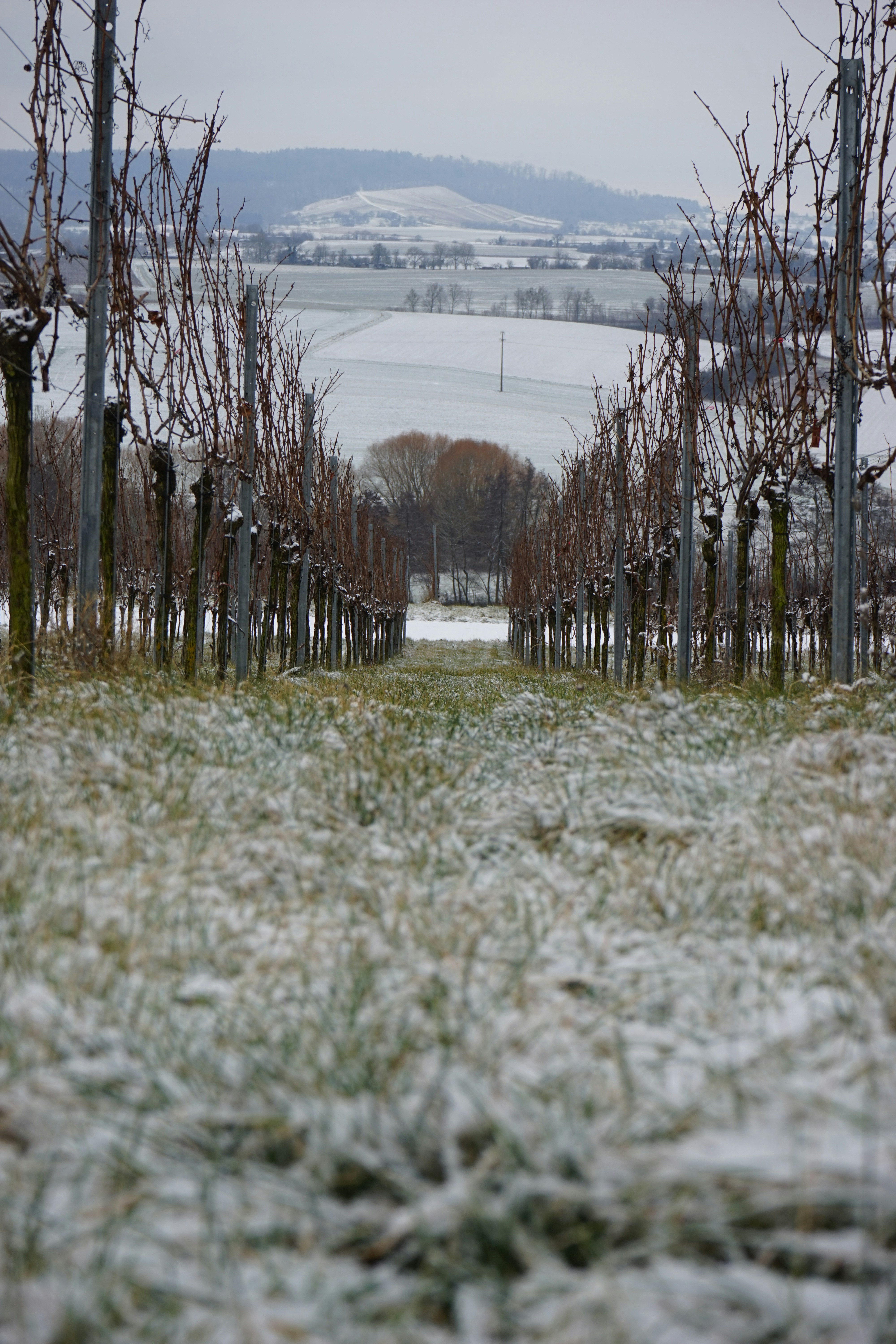 Photo by danielschild