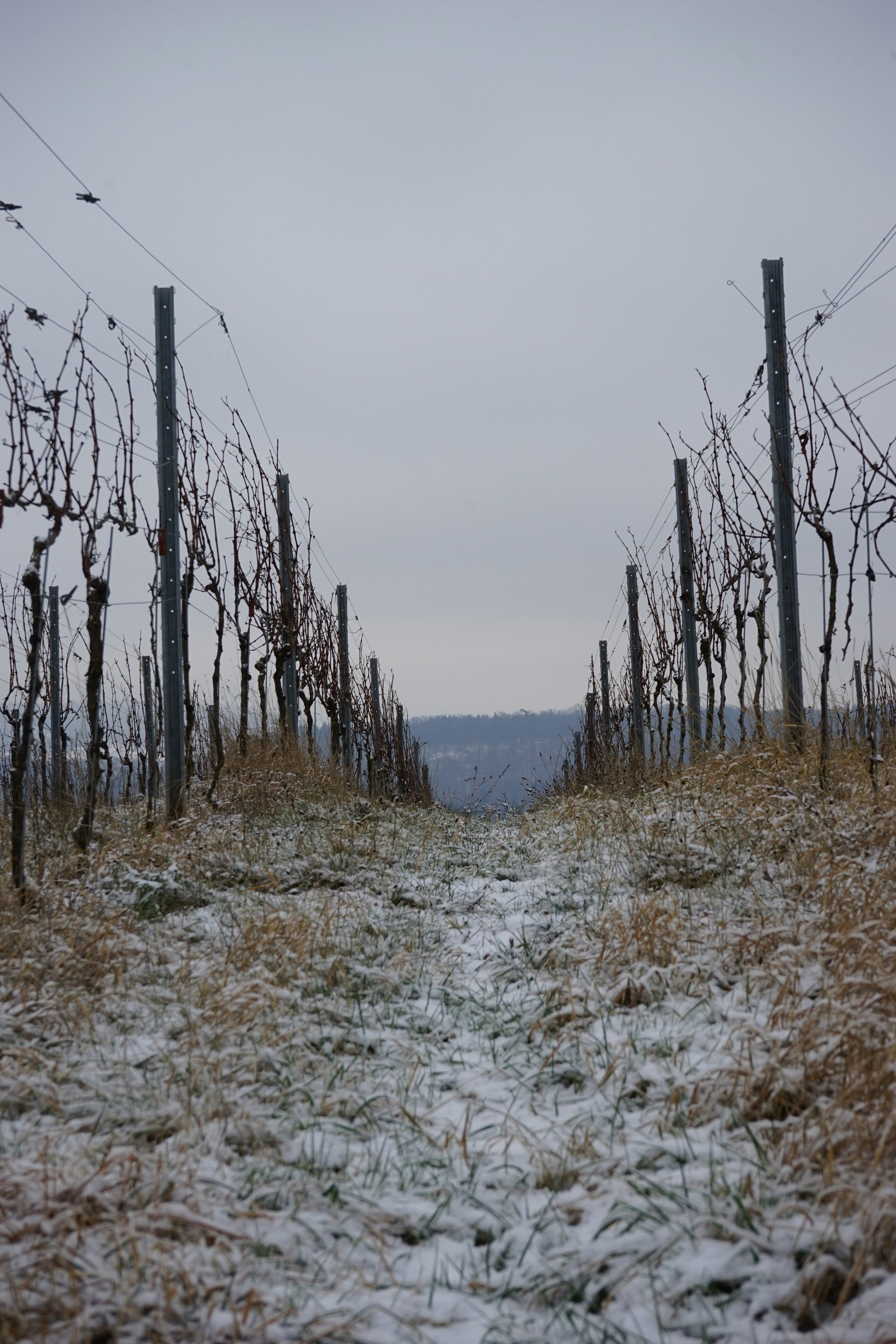 Photo by danielschild