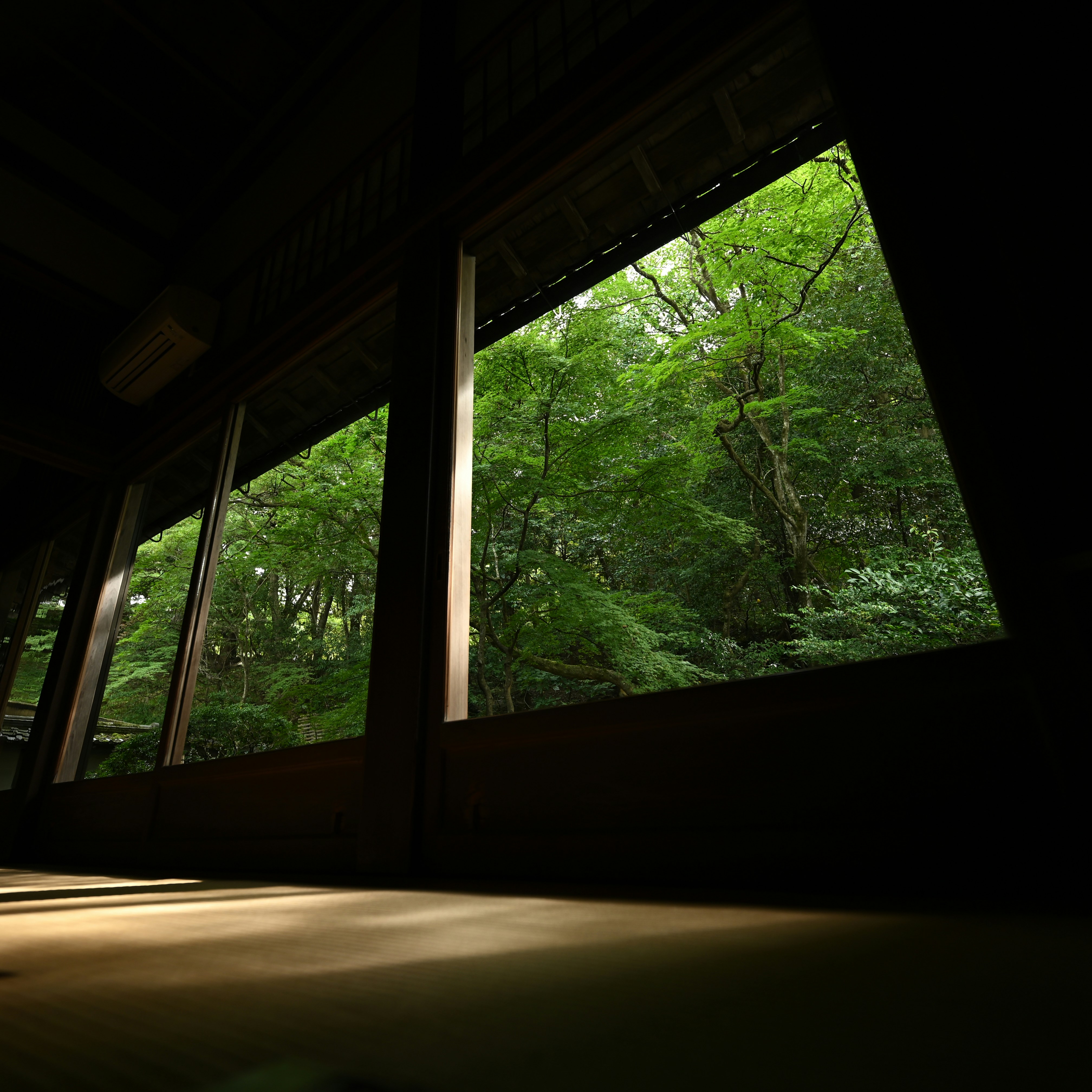 Photo by lileephotography