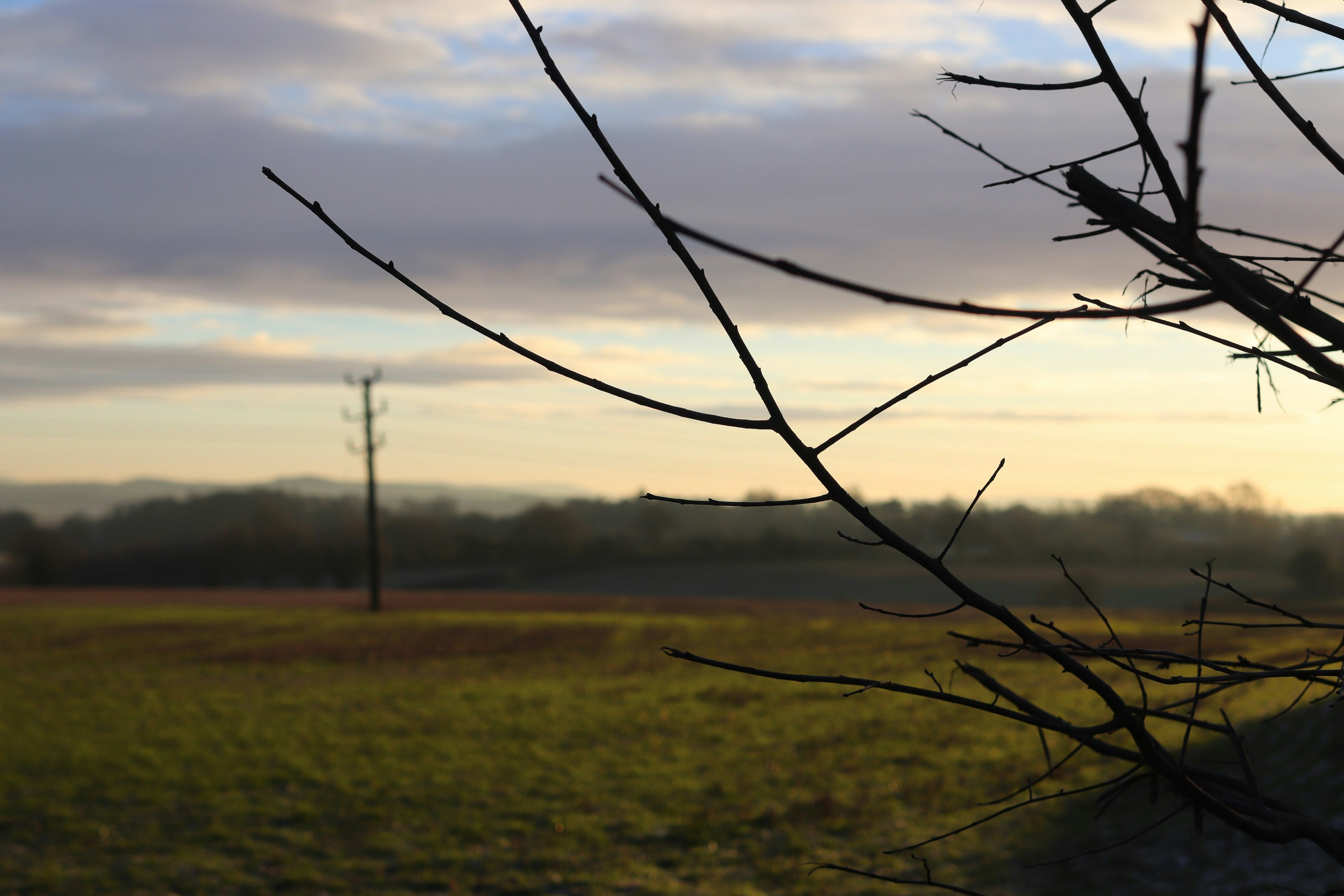 Photo by tanyabarrow