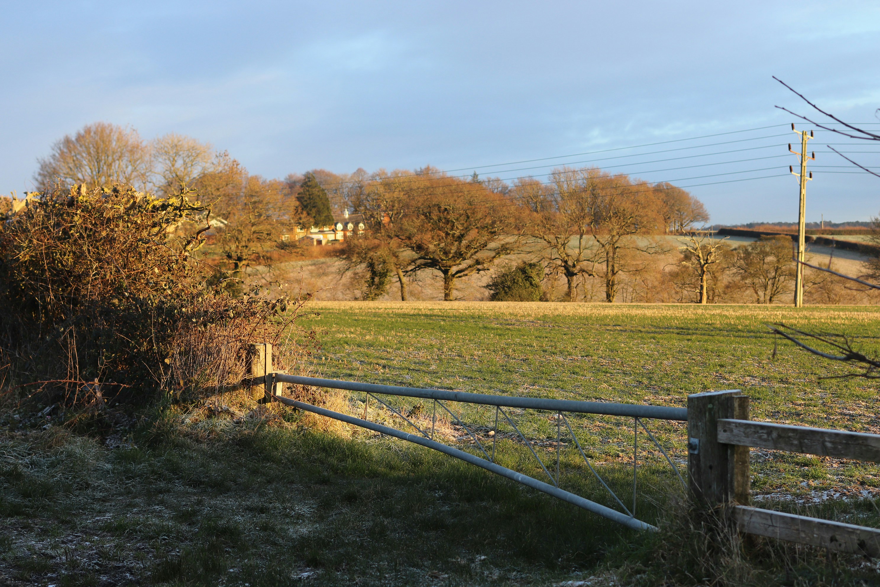 Photo by tanyabarrow