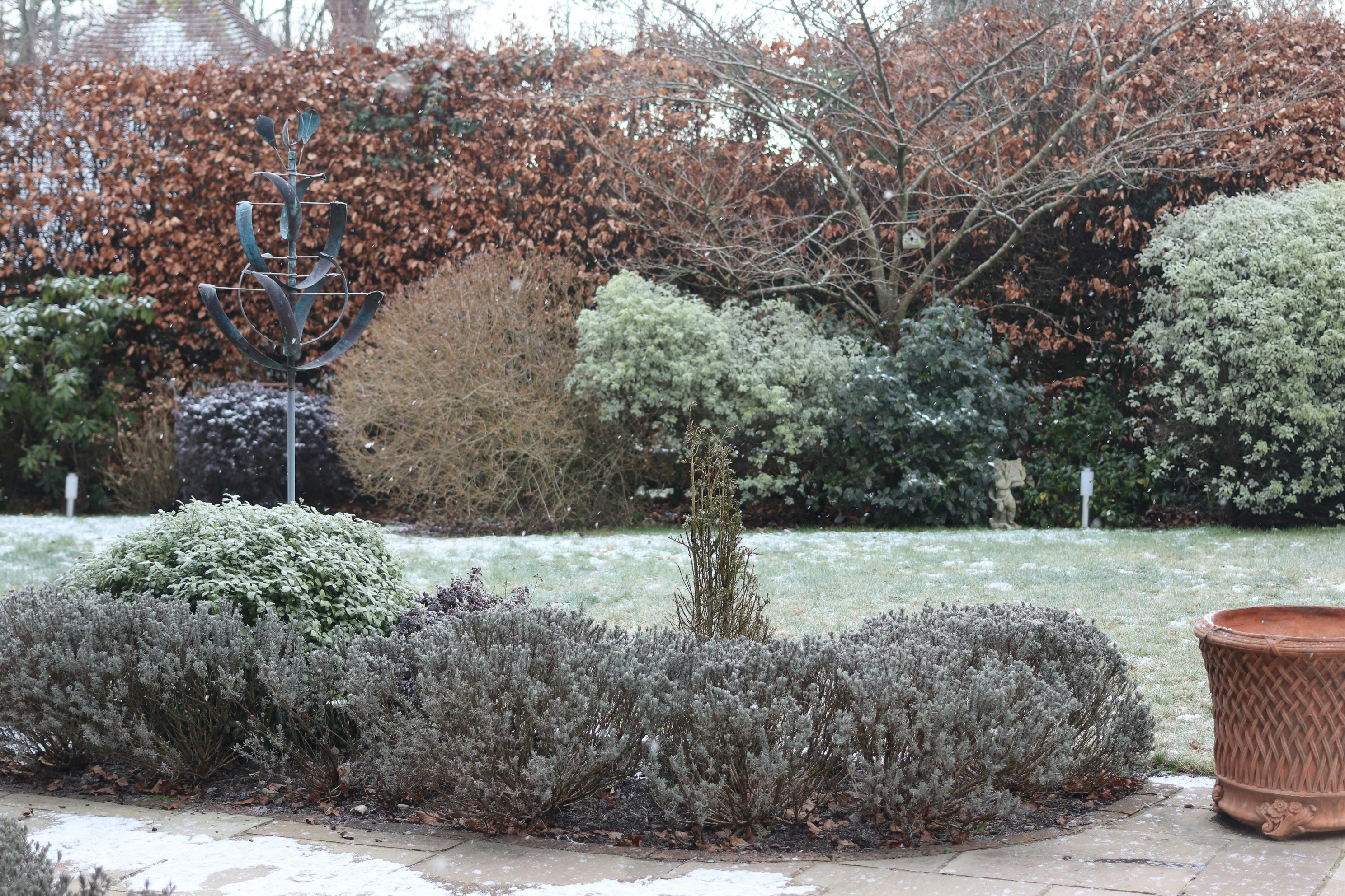 Photo by tanyabarrow