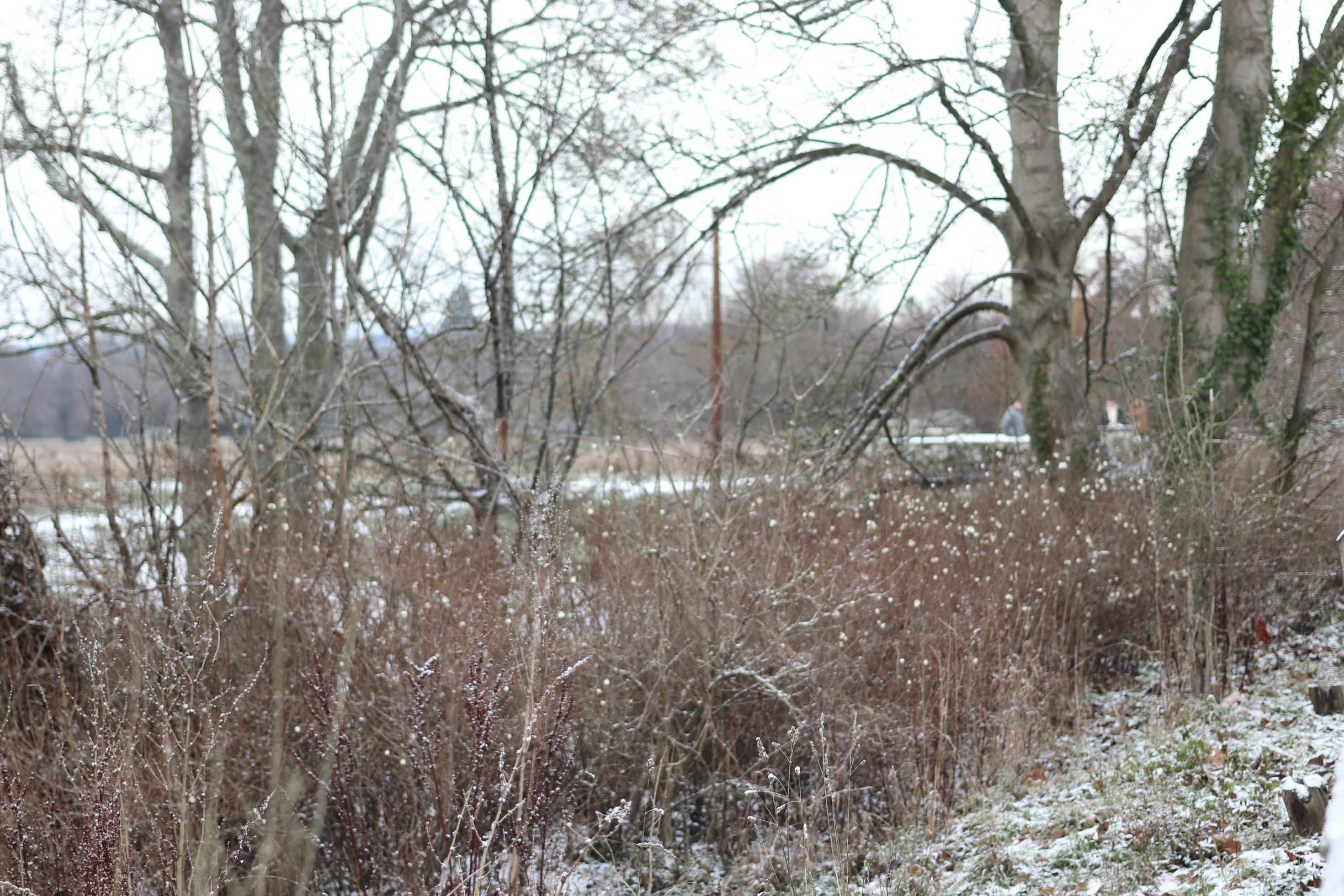 Photo by tanyabarrow