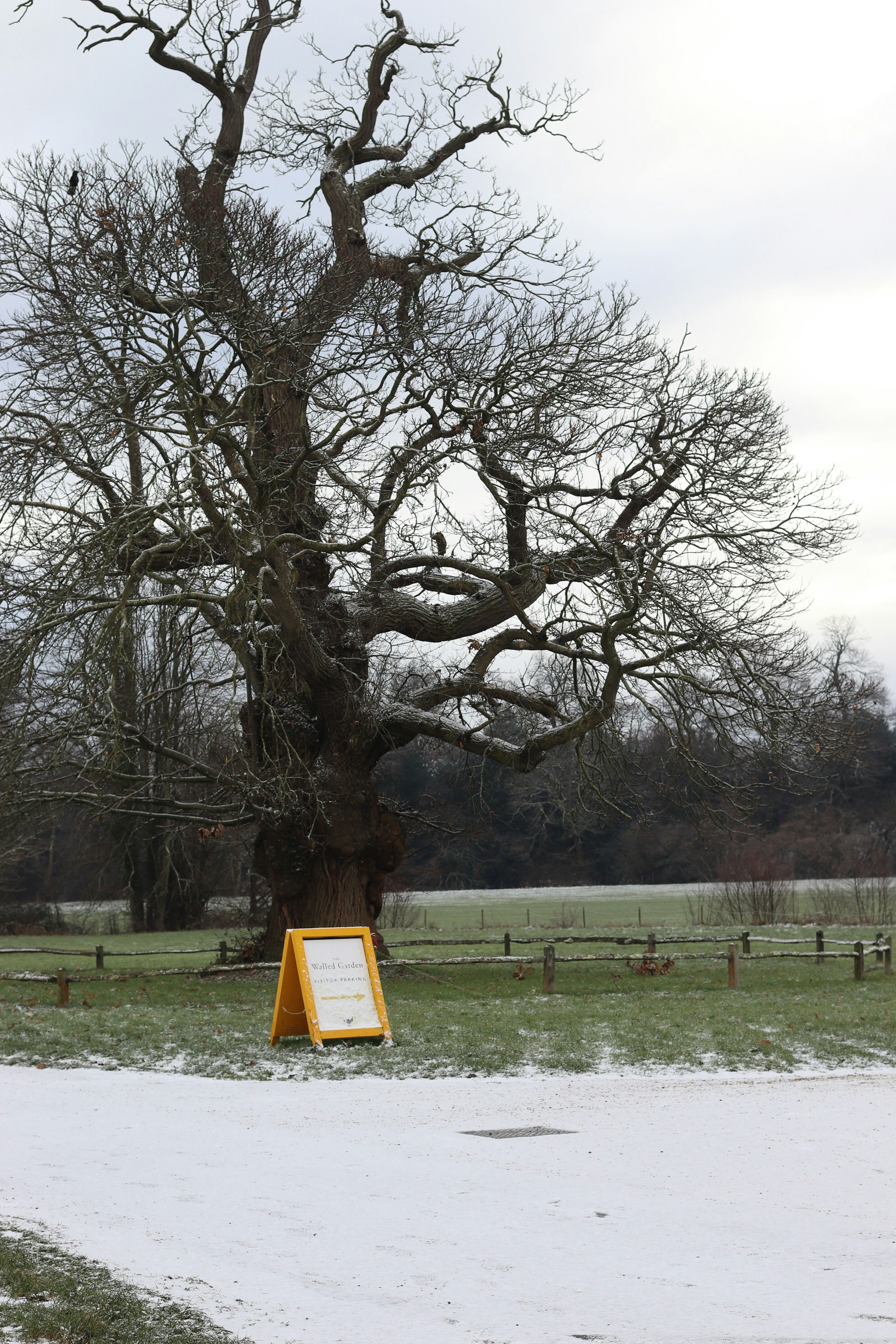 Photo by tanyabarrow