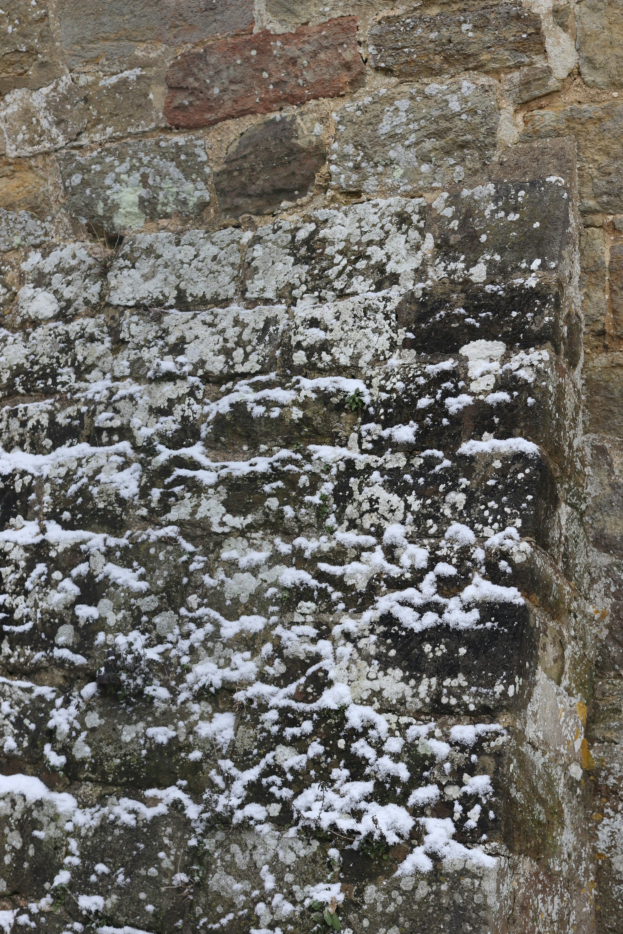 Photo by tanyabarrow