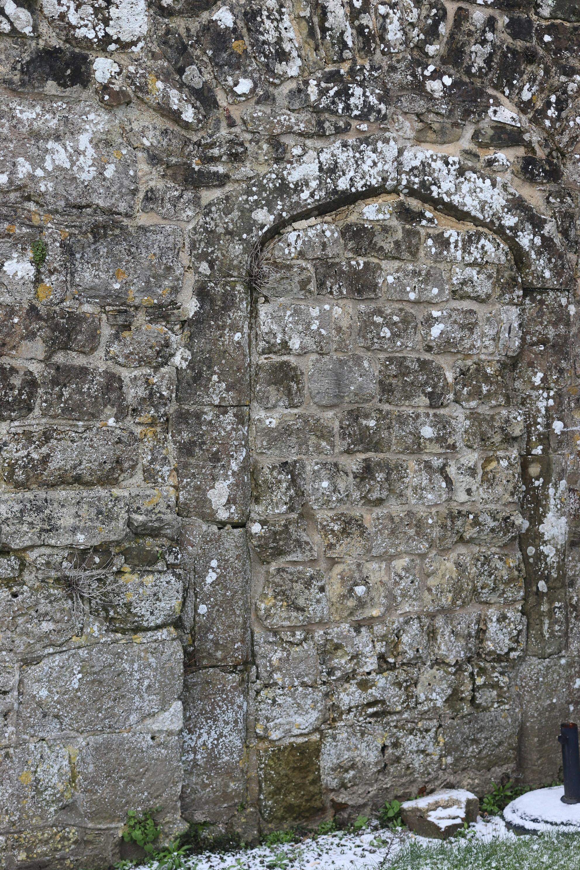 Photo by tanyabarrow